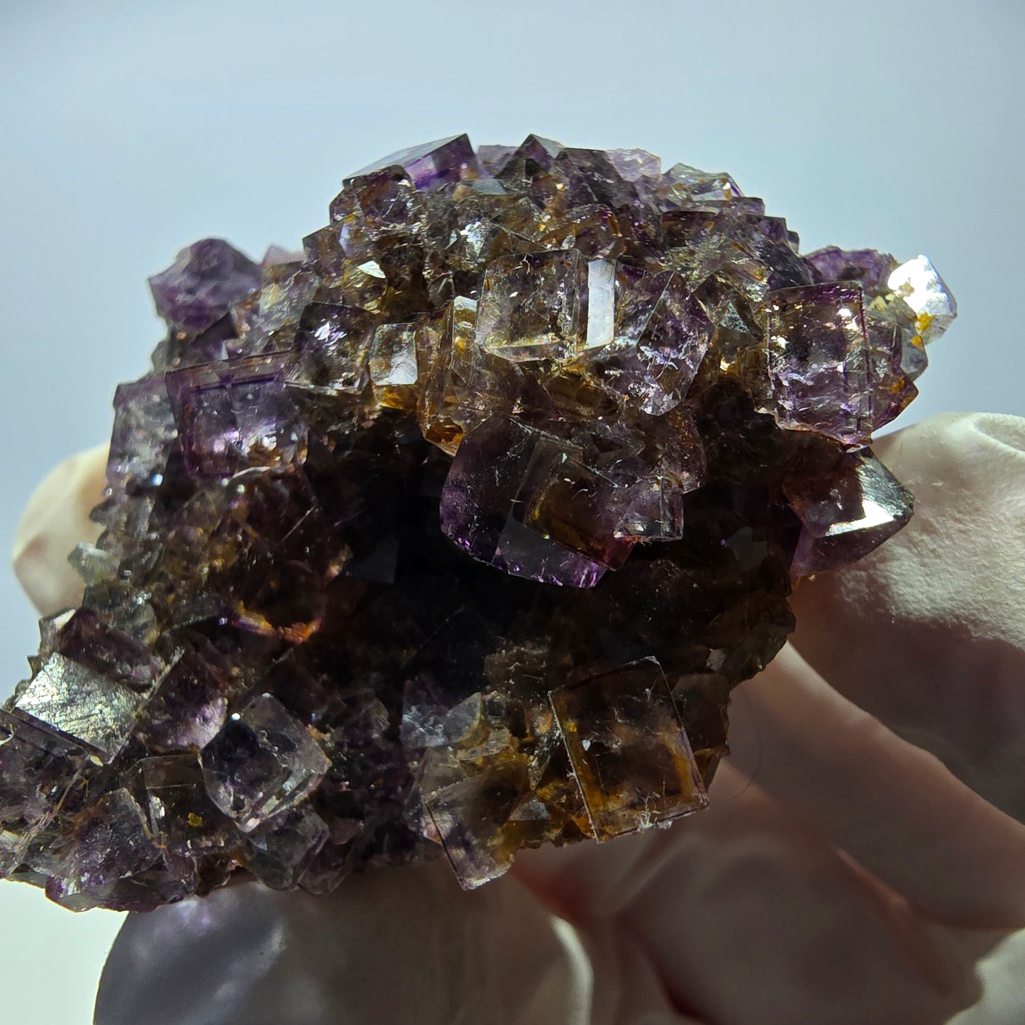 Rare spécimen de cube de fluorite fantôme, violet-jaune, Okorusu, Namibie, 59 x 47 x 32 mm