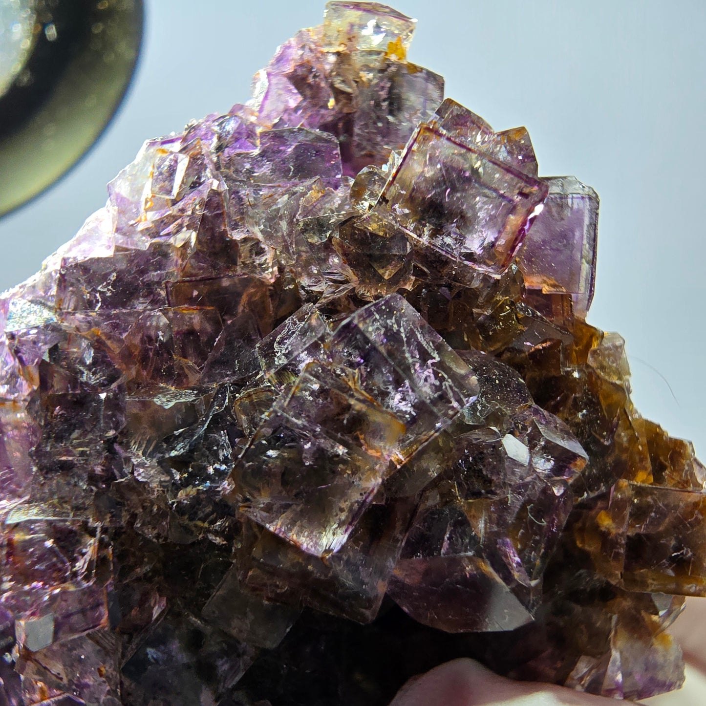 Rare spécimen de cube de fluorite fantôme, violet-jaune, Okorusu, Namibie, 59 x 47 x 32 mm