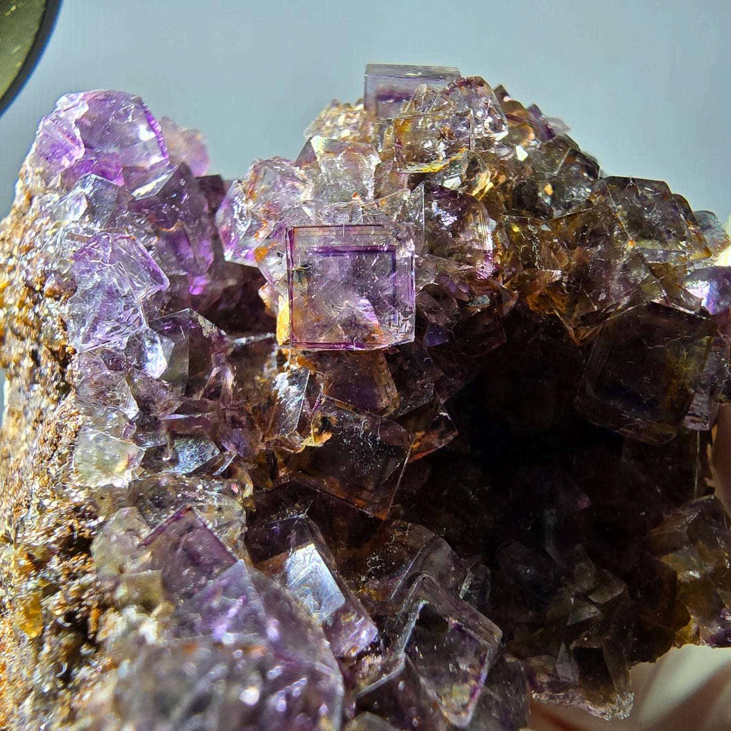 Rare spécimen de cube de fluorite fantôme, violet-jaune, Okorusu, Namibie, 59 x 47 x 32 mm
