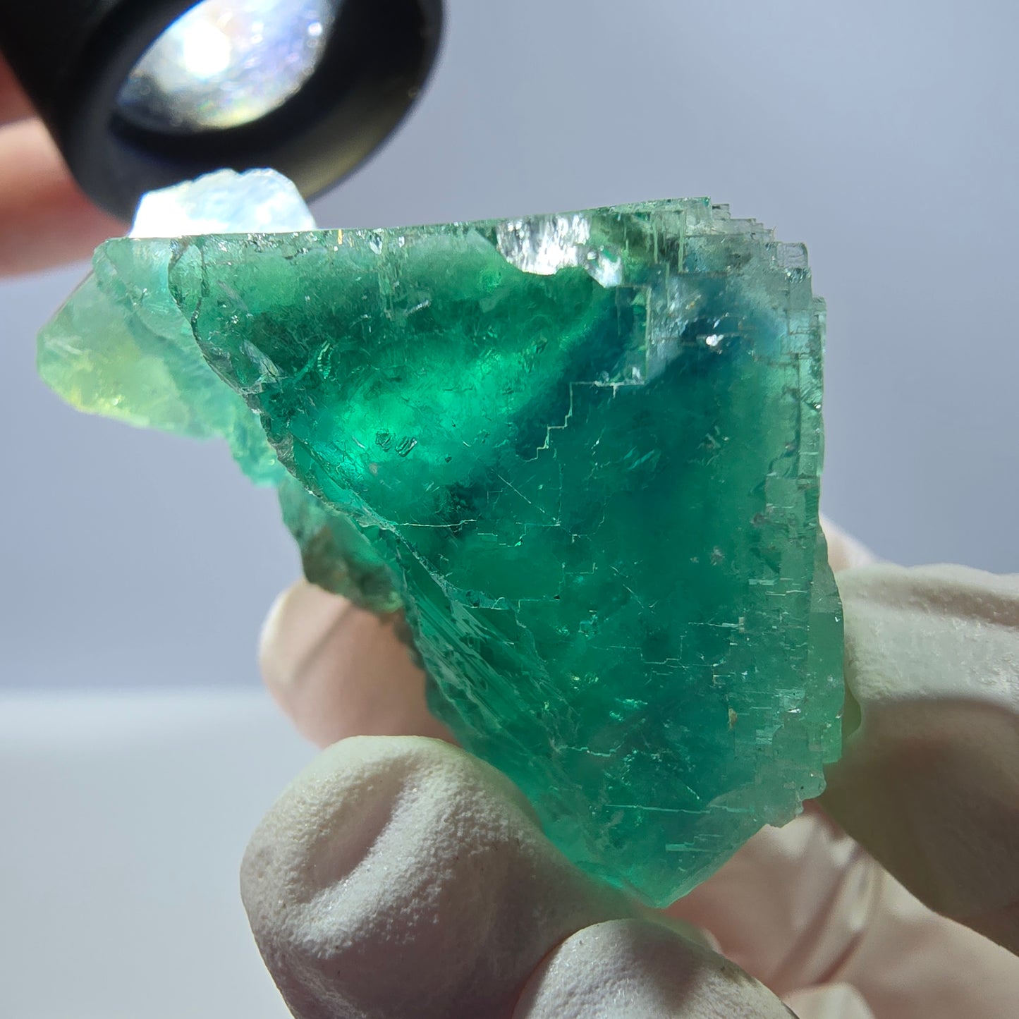 Spécimen de cube de fluorite fantôme transparente, vert parqueté, Okorusu, Namibie, 44 x 37 x 27 mm