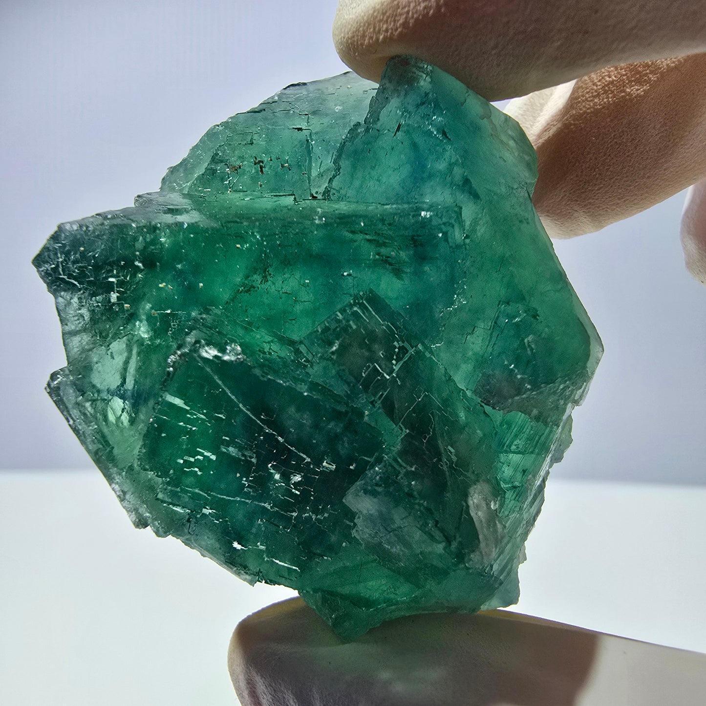 Spécimen de cube de fluorite fantôme transparente, vert parqueté, Okorusu, Namibie, 51 x 40 x 26 mm