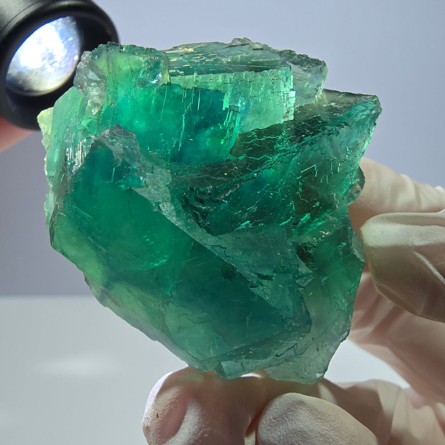 Spécimen de cube de fluorite fantôme transparente, vert parqueté, Okorusu, Namibie, 51 x 40 x 26 mm
