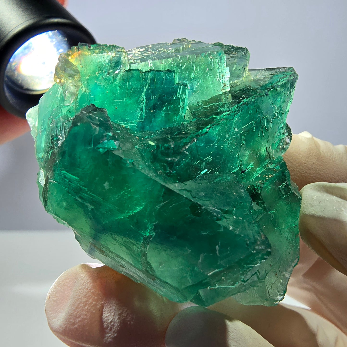 Spécimen de cube de fluorite fantôme transparente, vert parqueté, Okorusu, Namibie, 51 x 40 x 26 mm