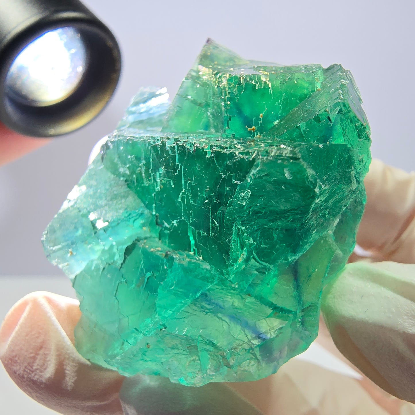 Spécimen de cube de fluorite fantôme transparente, vert parqueté, Okorusu, Namibie, 51 x 40 x 26 mm