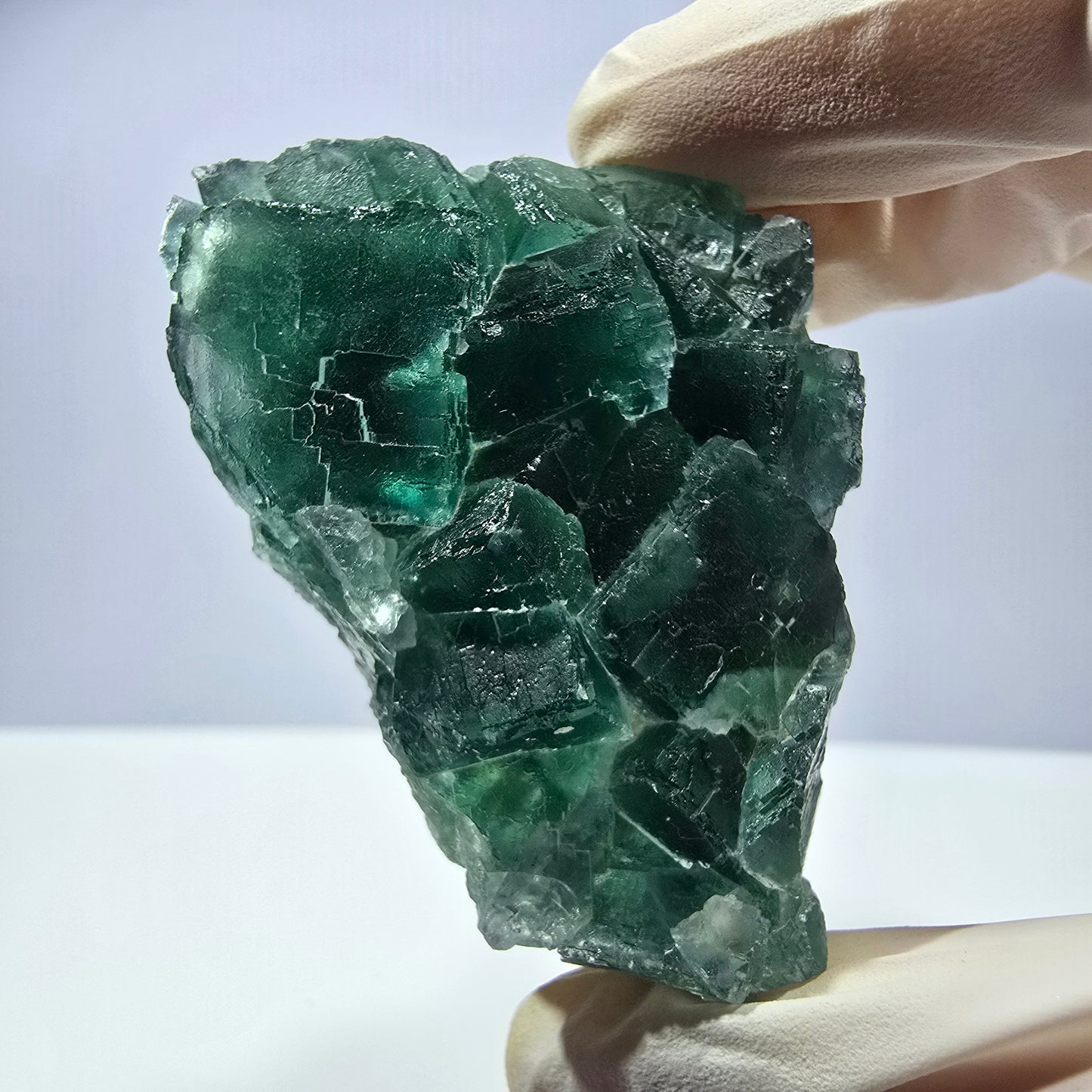 Rare spécimen de cube de fluorite fantôme, parqueté vert Okorusu, Namibie, 61 x 48 x 24 mm
