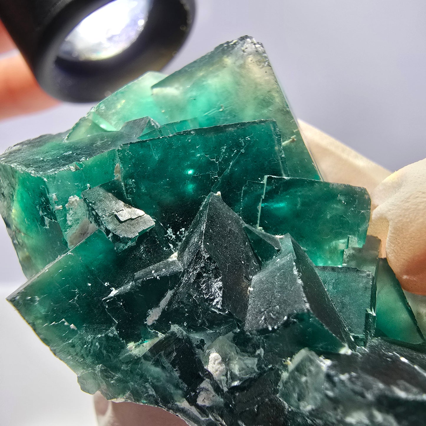 Rare spécimen de cube de fluorite fantôme, parqueté vert Okorusu, Namibie, 65 x 36 x 31 mm