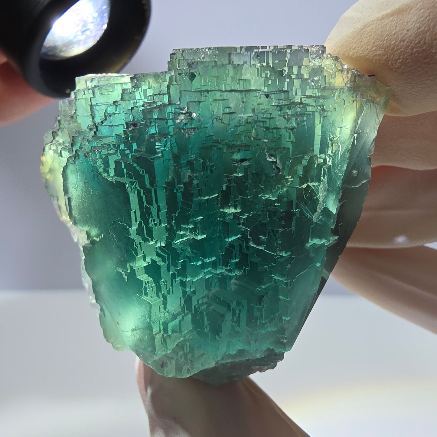 Spécimen de cube de fluorite fantôme transparente, vert parqueté, Okorusu, Namibie, 60 x 44 x 40 mm