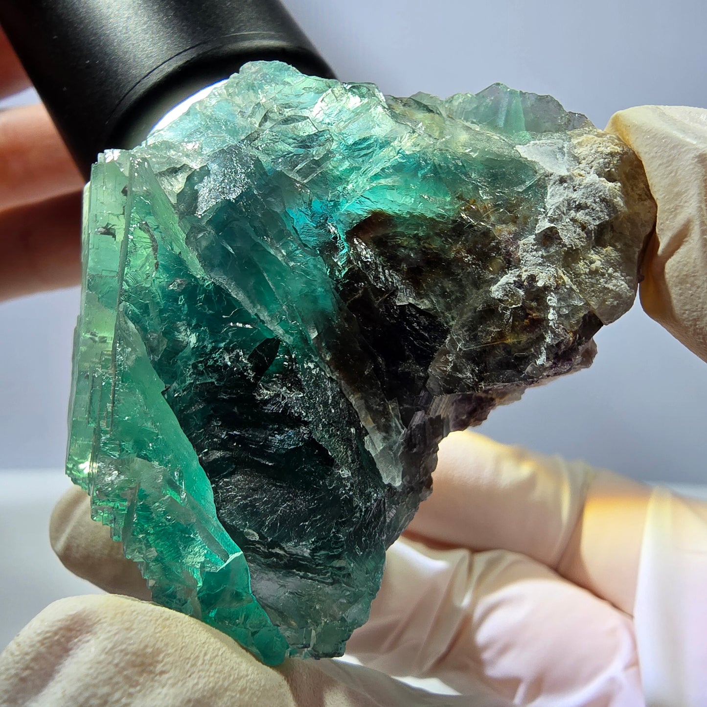 Spécimen de cube de fluorite fantôme transparente, vert parqueté, Okorusu, Namibie, 60 x 44 x 40 mm