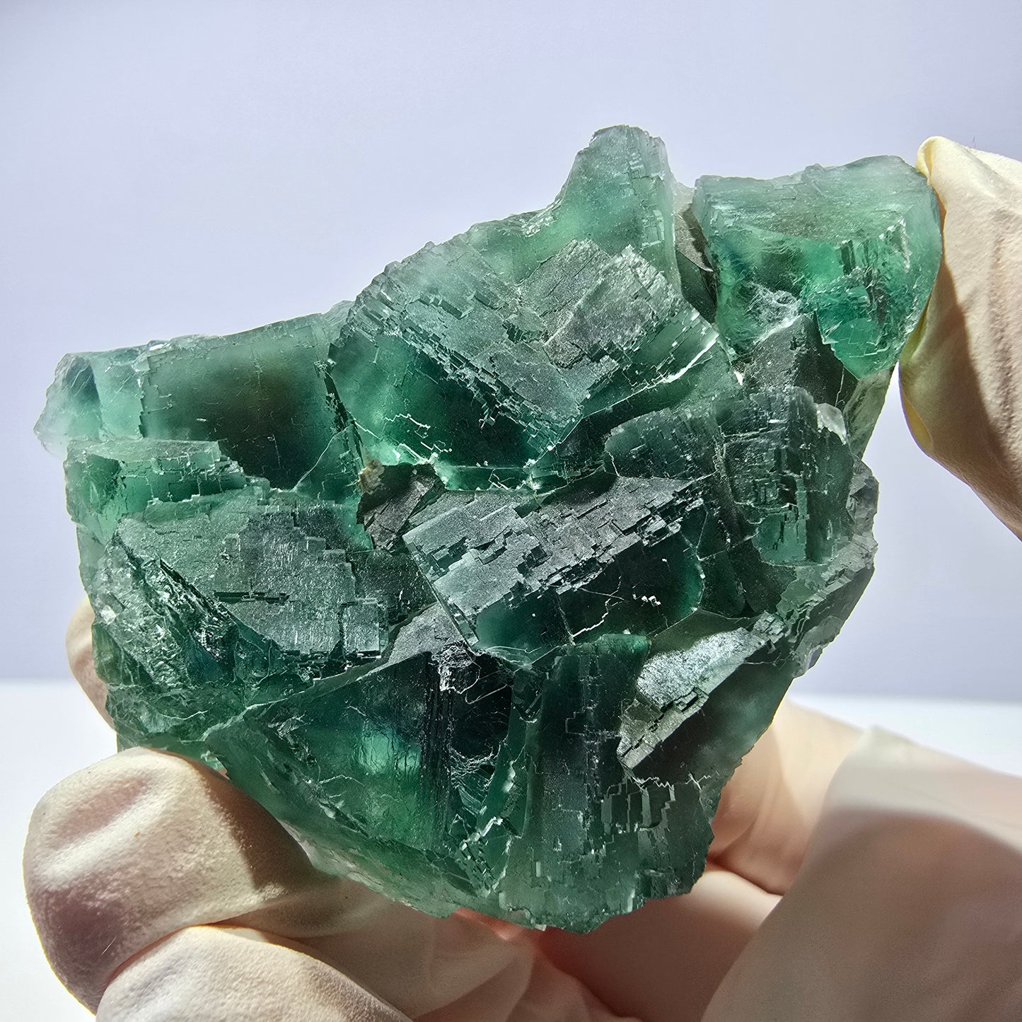 Rare spécimen de cube de fluorite fantôme, parqueté vert Okorusu, Namibie, 61 x 45 x 28 mm