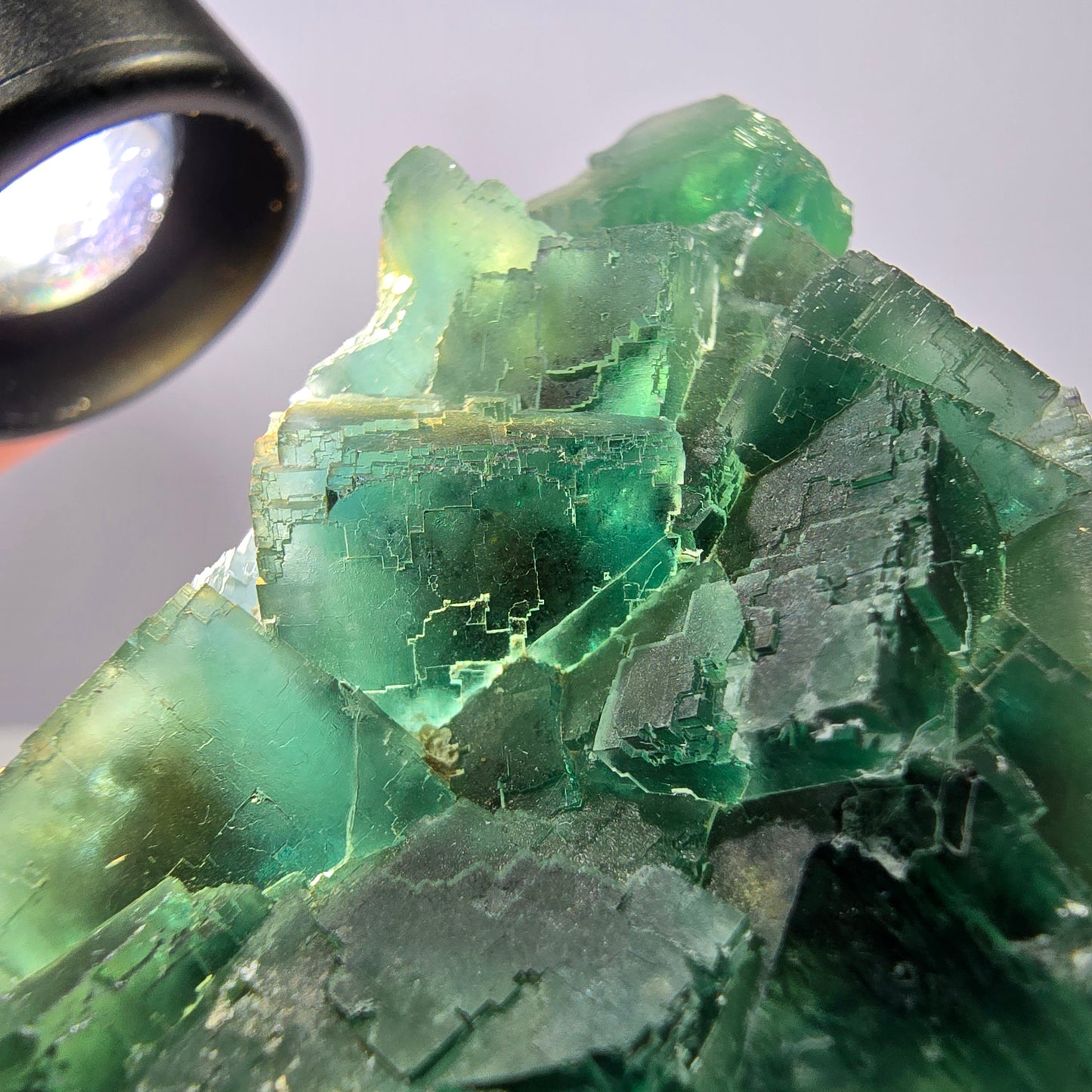 Rare spécimen de cube de fluorite fantôme, parqueté vert Okorusu, Namibie, 61 x 45 x 28 mm