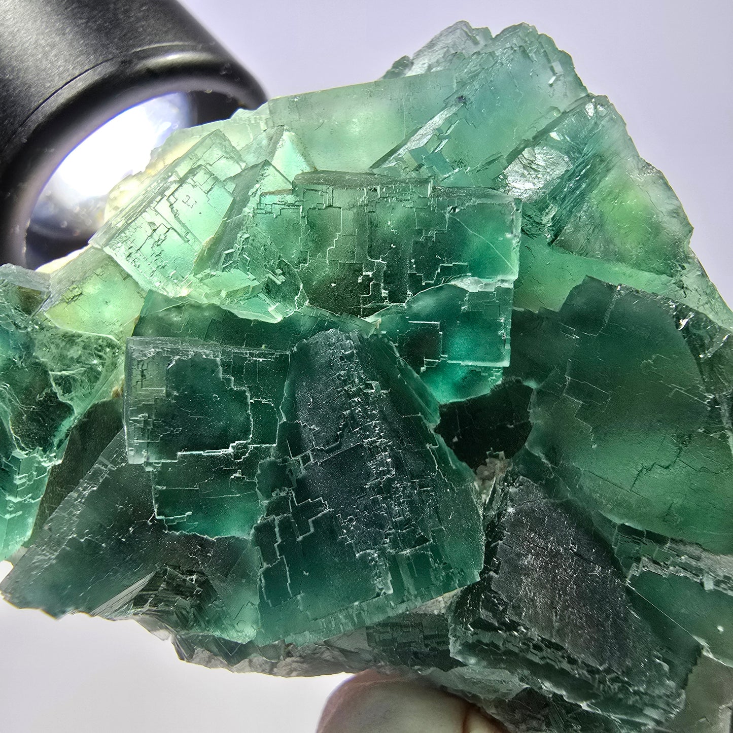 Rare spécimen de cube de fluorite fantôme, parqueté vert Okorusu, Namibie, 61 x 45 x 28 mm