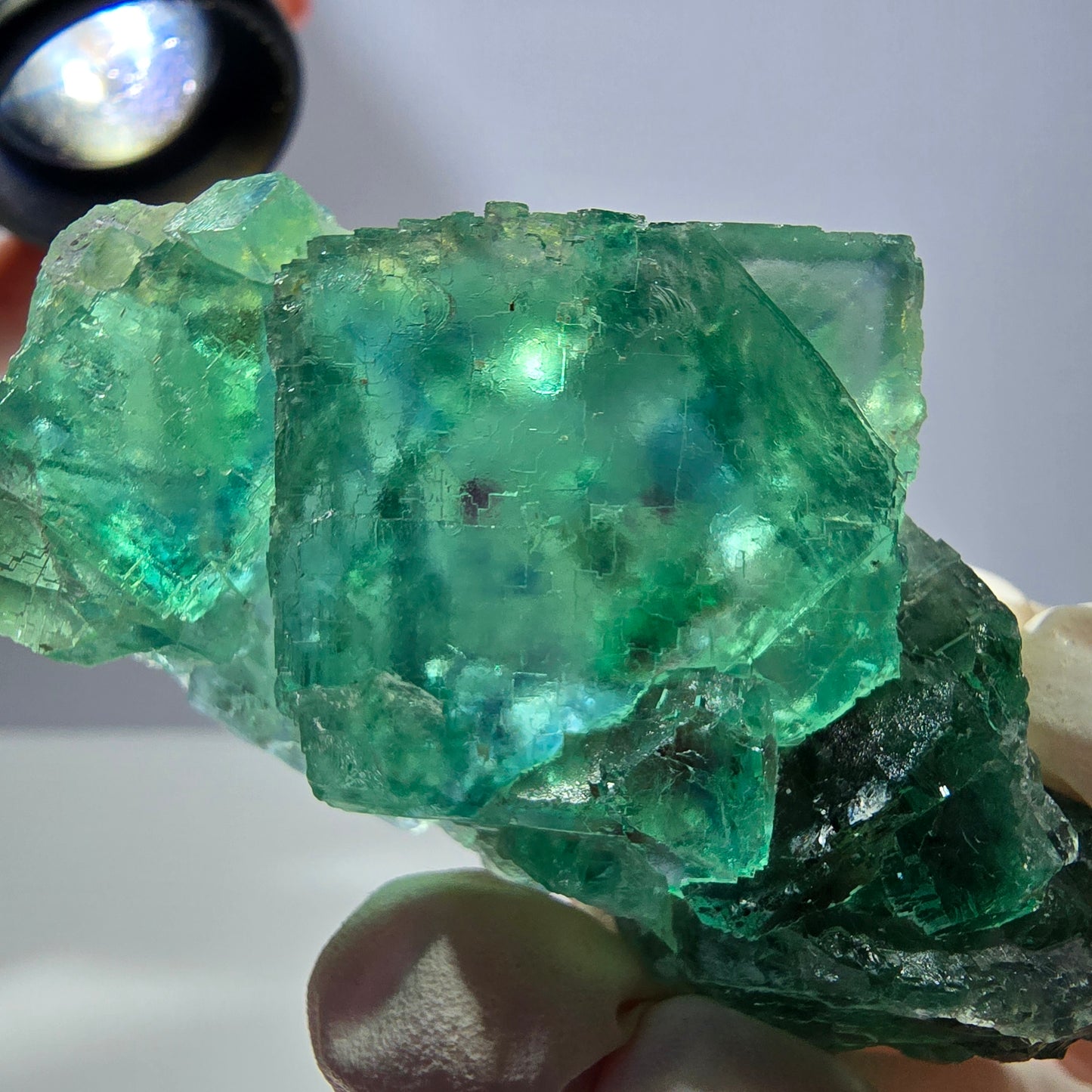 Spécimen de cube de fluorite fantôme transparente, vert parqueté, Okorusu, Namibie, 64 x 35 x 16 mm