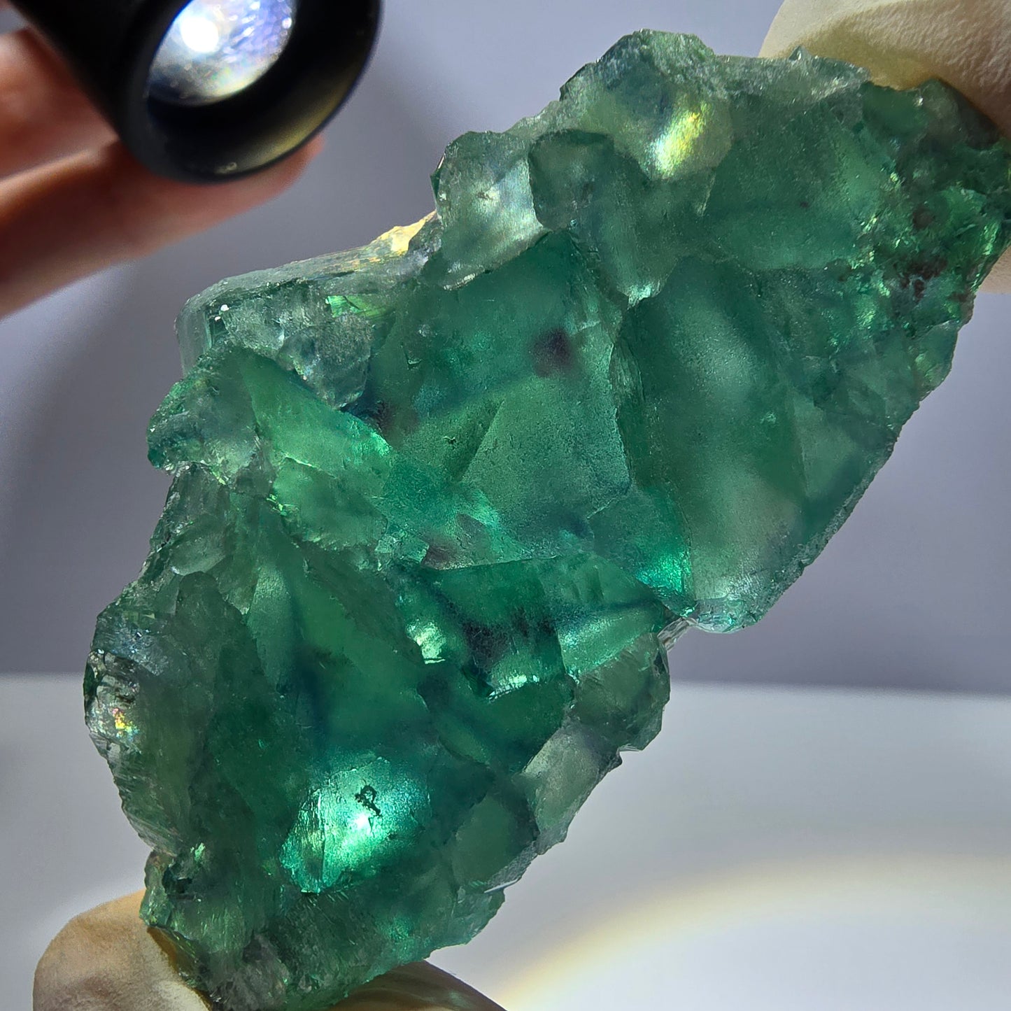 Spécimen de cube de fluorite fantôme transparente, vert parqueté, Okorusu, Namibie, 64 x 35 x 16 mm