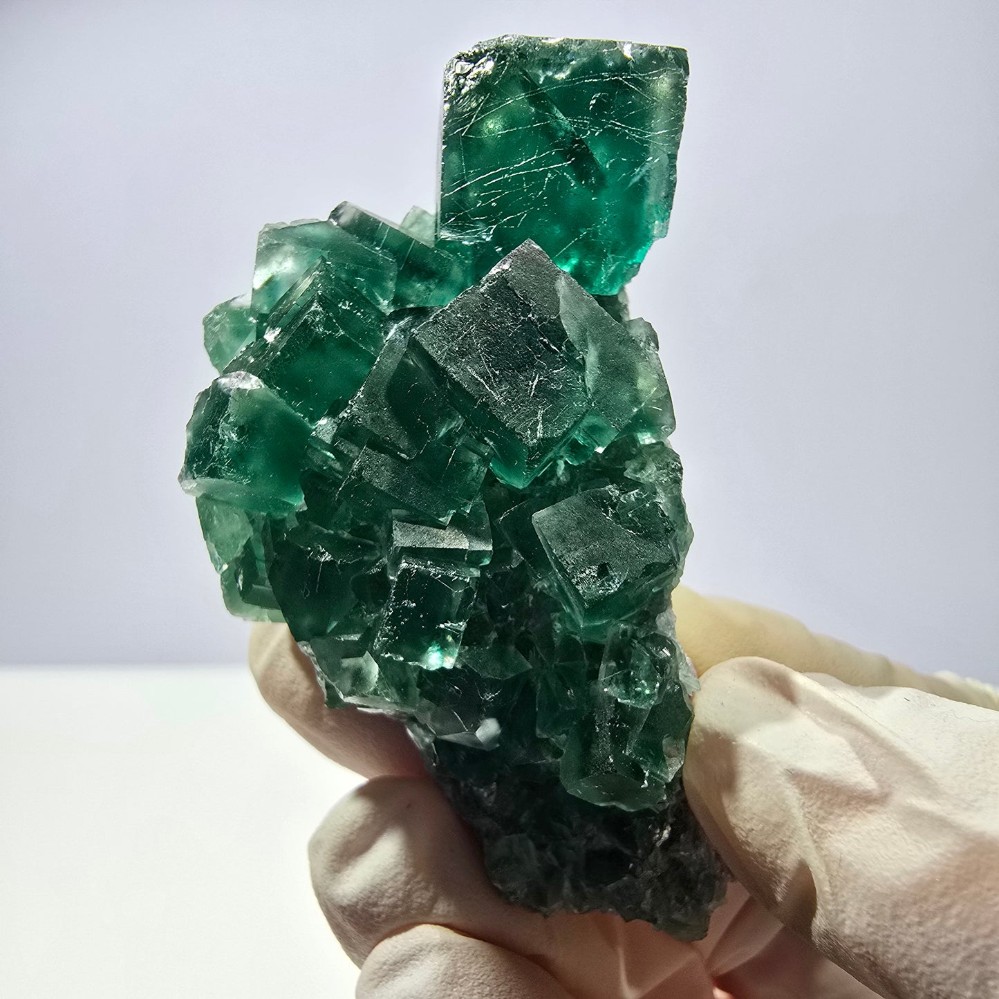 Rare spécimen de cube de fluorite fantôme, parqueté vert Okorusu, Namibie, 62 x 32 x 26 mm