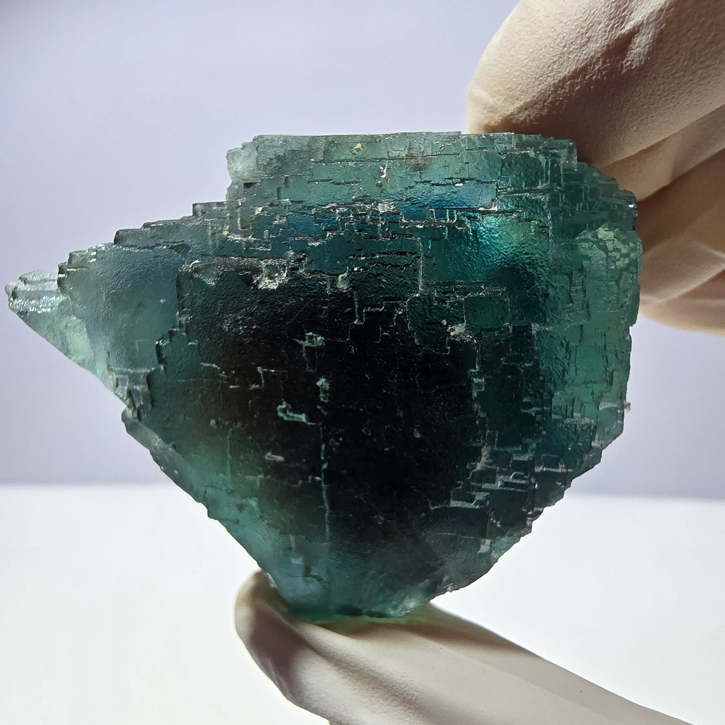Spécimen de cube de fluorite fantôme transparente, vert parqueté, Okorusu, Namibie, 65 x 46 x 28 mm