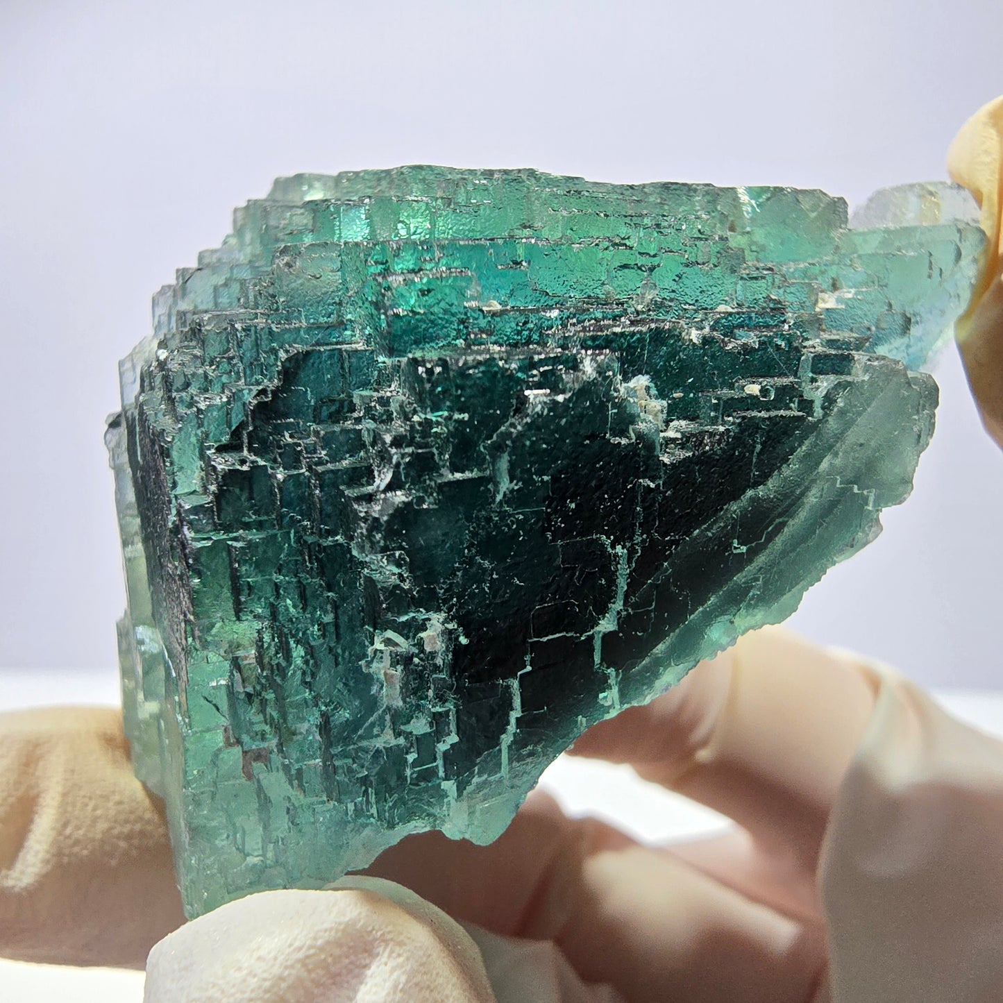 Spécimen de cube de fluorite fantôme transparente, vert parqueté, Okorusu, Namibie, 65 x 46 x 28 mm