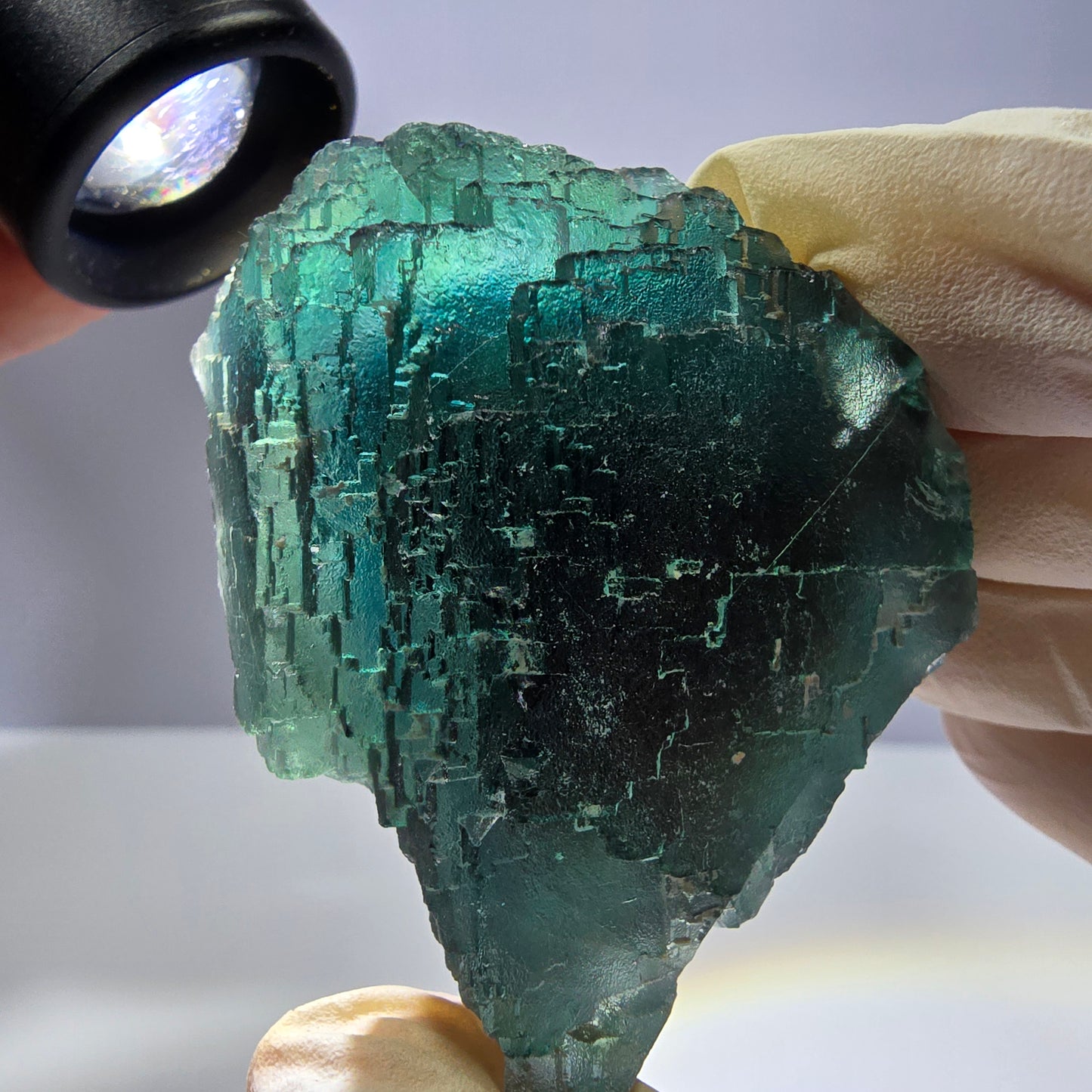 Spécimen de cube de fluorite fantôme transparente, vert parqueté, Okorusu, Namibie, 65 x 46 x 28 mm