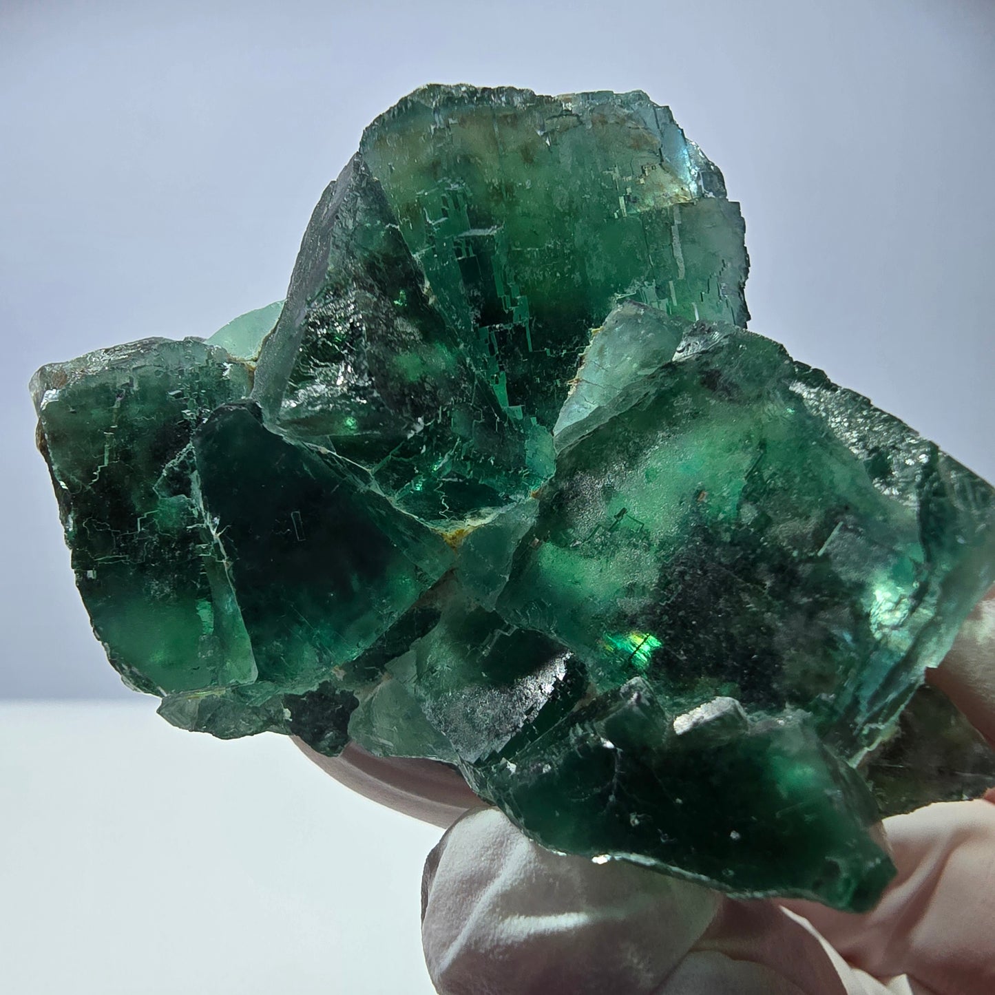 Spécimen de cube de fluorite fantôme transparente, vert parqueté, Okorusu, Namibie, 60 x 51 x 26 mm