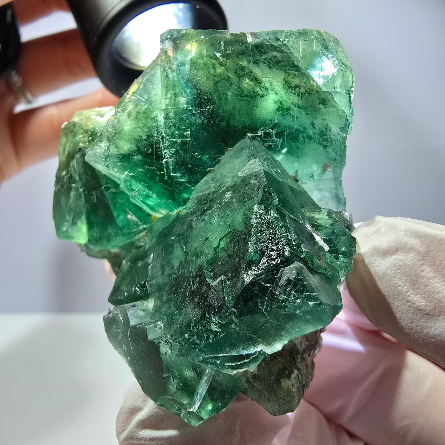 Spécimen de cube de fluorite fantôme transparente, vert parqueté, Okorusu, Namibie, 60 x 51 x 26 mm