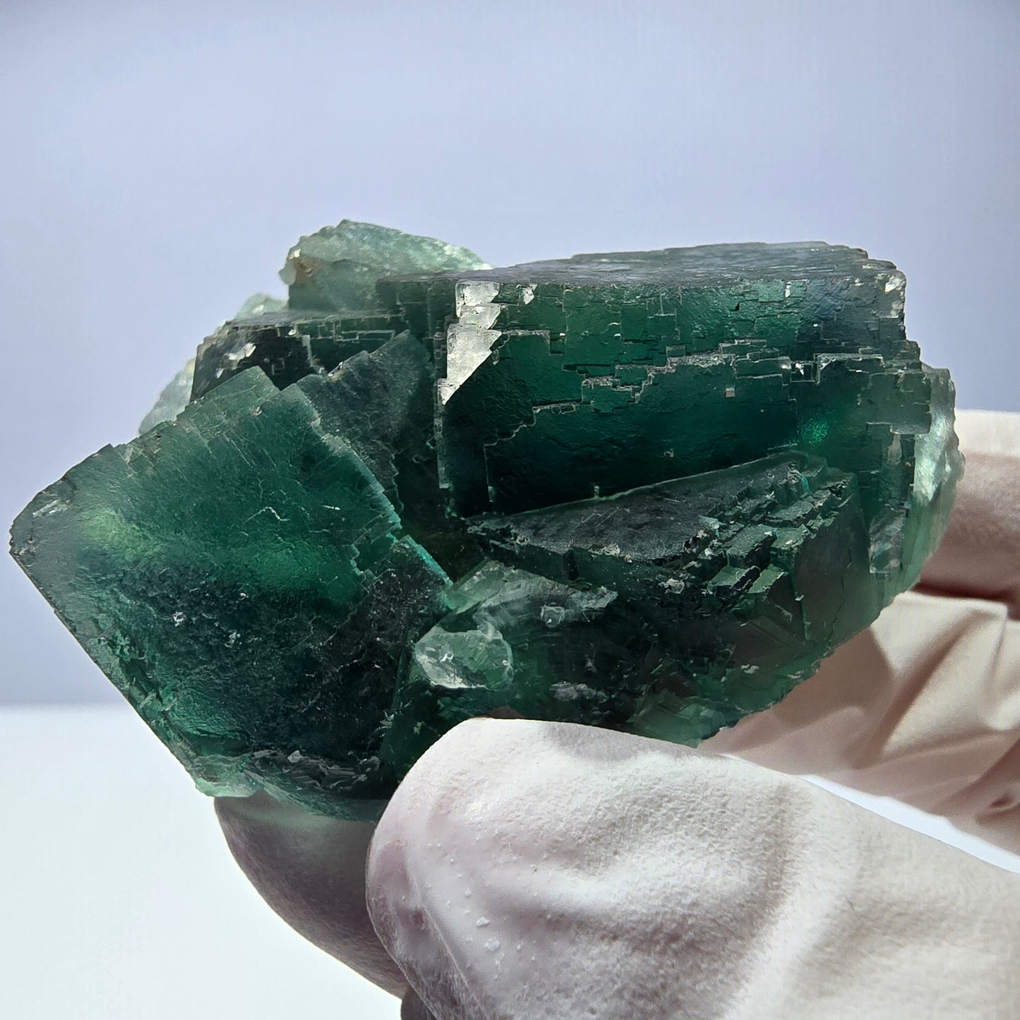 Spécimen de cube de fluorite fantôme transparente, vert parqueté, Okorusu, Namibie, 60 x 45 x 24 mm