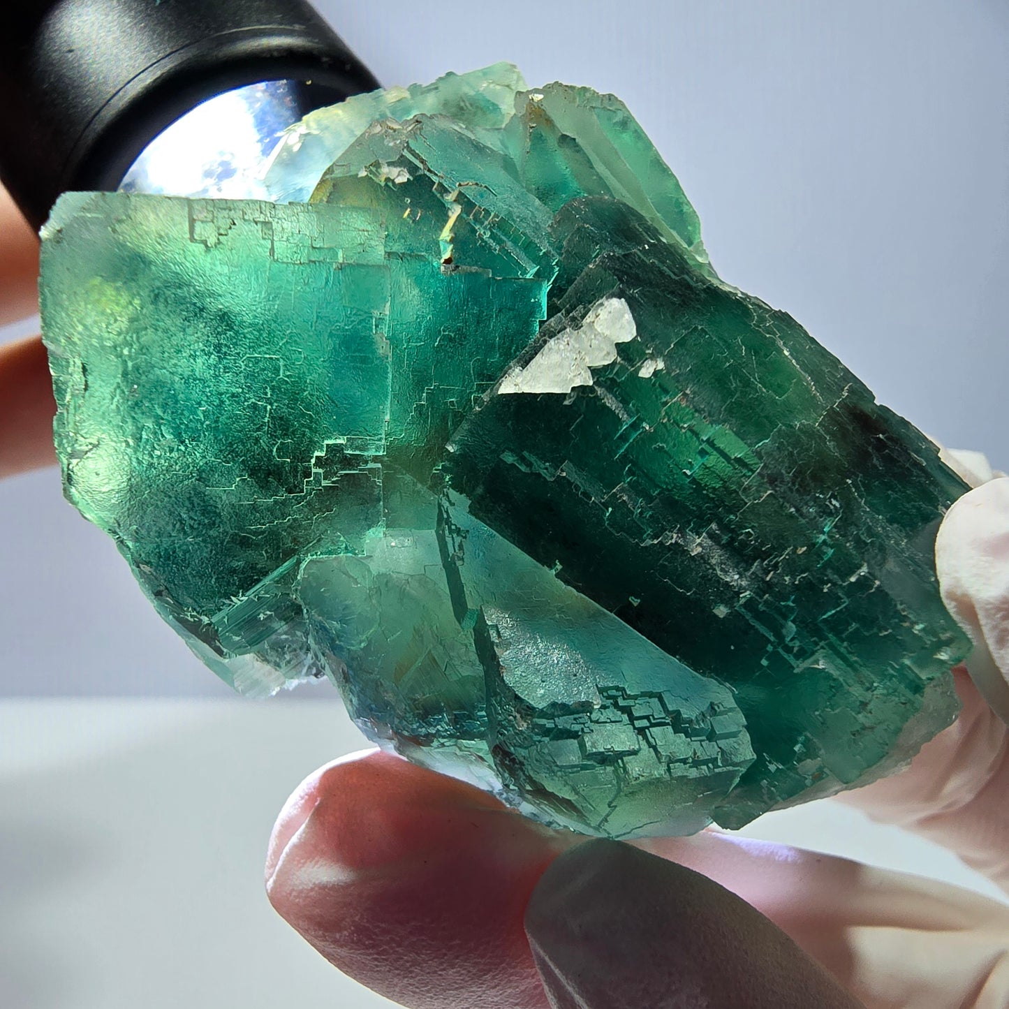 Spécimen de cube de fluorite fantôme transparente, vert parqueté, Okorusu, Namibie, 60 x 45 x 24 mm