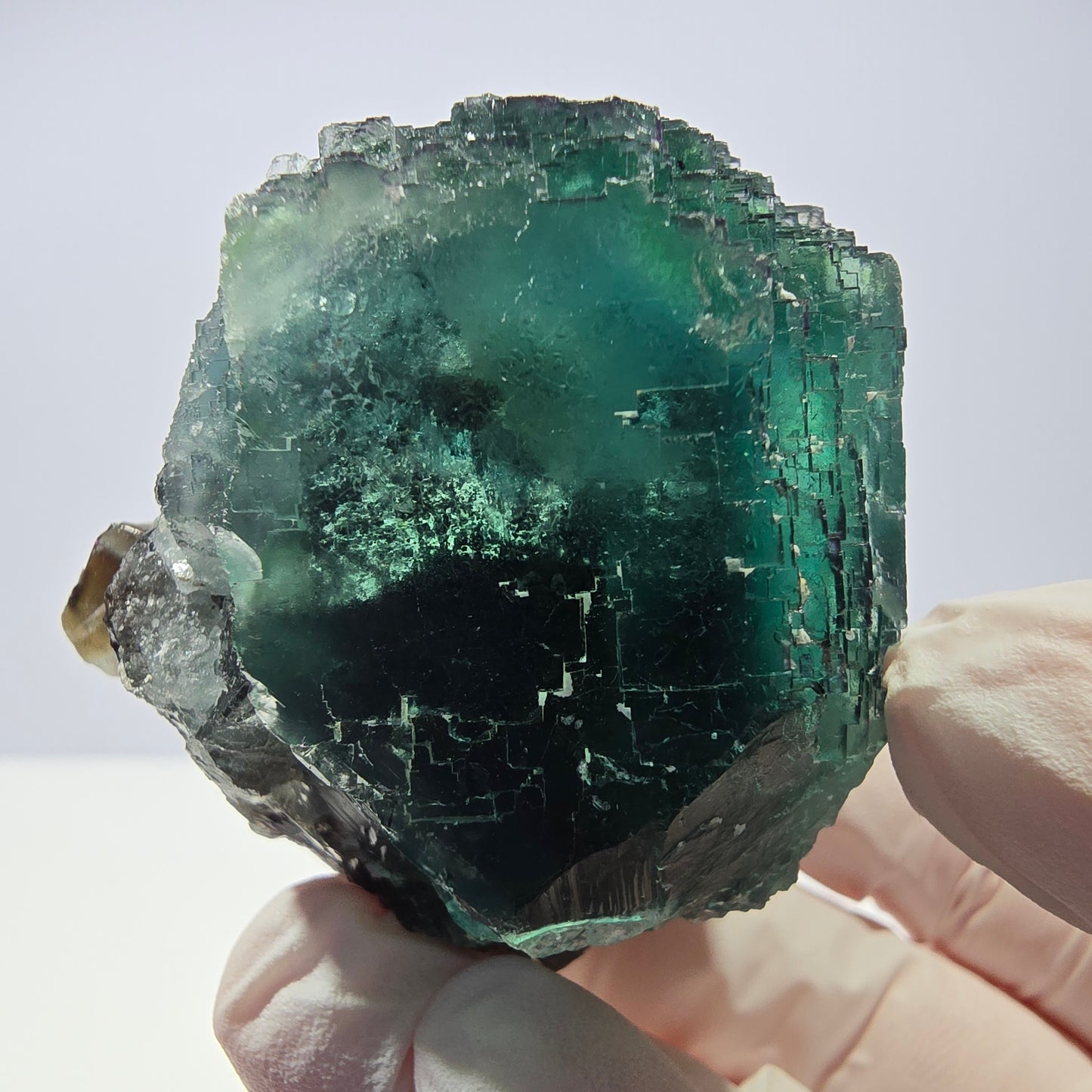 Spécimen de cube de fluorite fantôme transparente, vert parqueté, Okorusu, Namibie, 52 x 49 x 41 mm