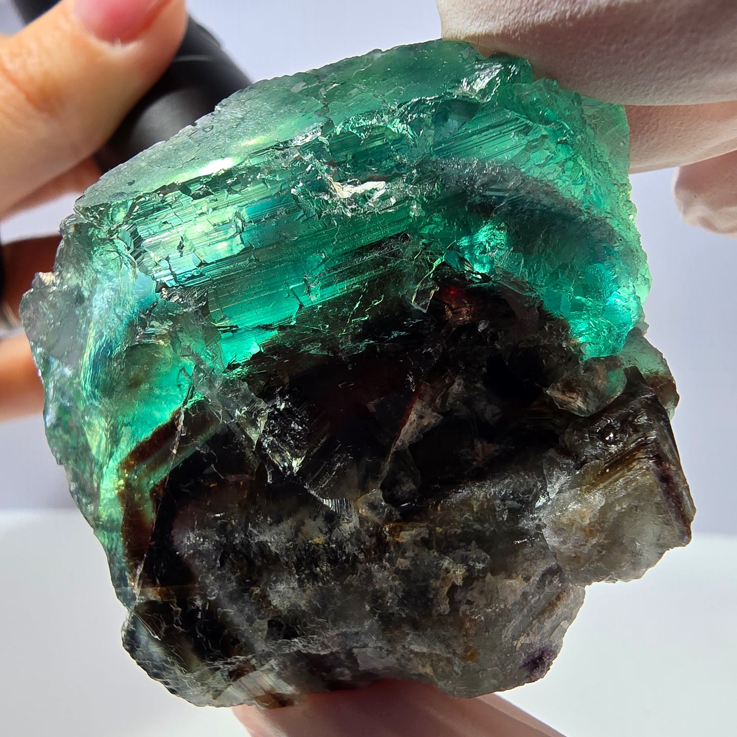 Spécimen de cube de fluorite fantôme transparente, vert parqueté, Okorusu, Namibie, 52 x 49 x 41 mm