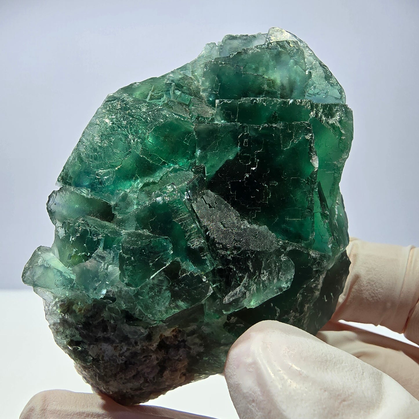Spécimen de cube de fluorite fantôme transparente, vert parqueté, Okorusu, Namibie, 77 x 54 x 38 mm