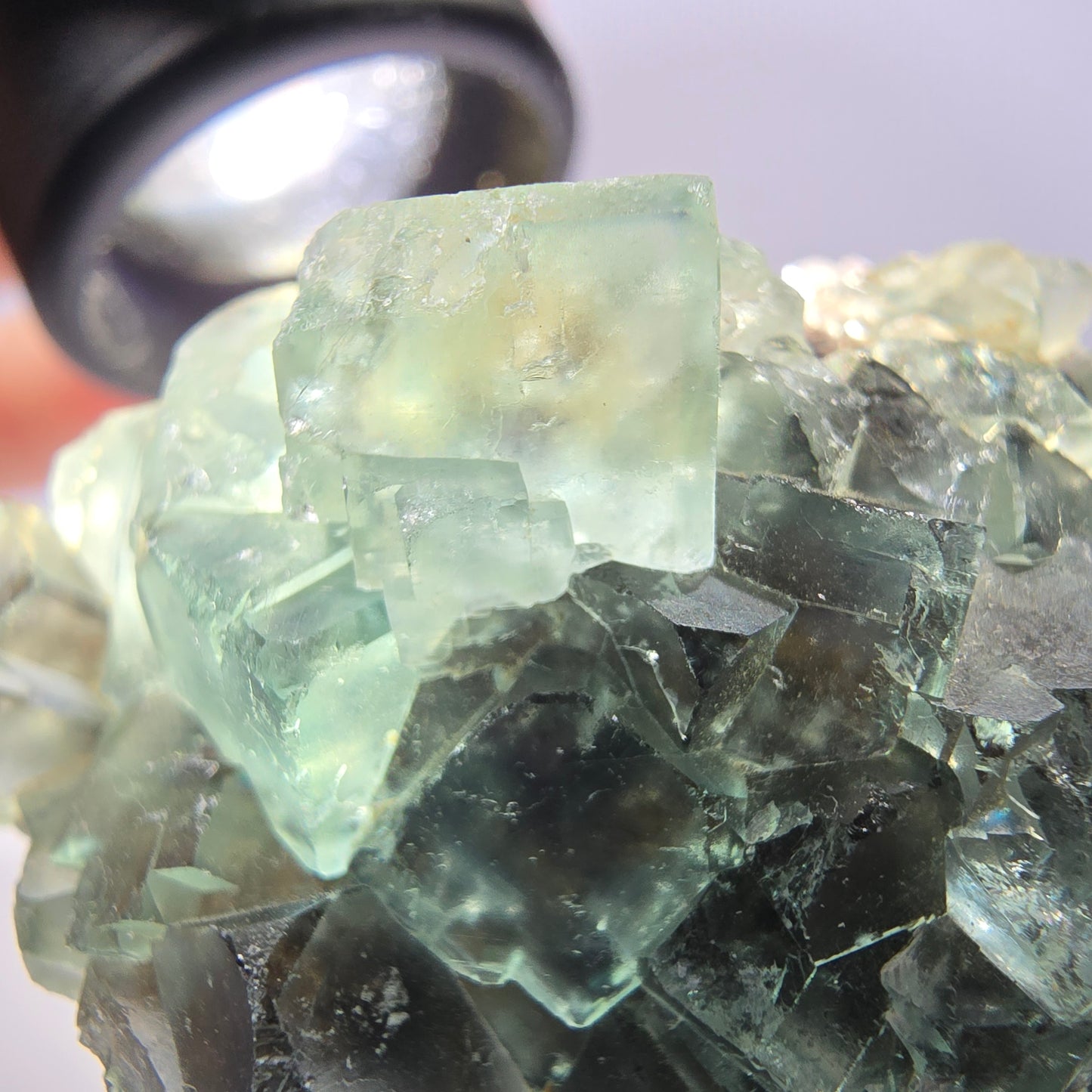 Spécimen de cube de fluorite fantôme transparente, vert parqueté, Okorusu, Namibie, 47 x 32 x 22 mm