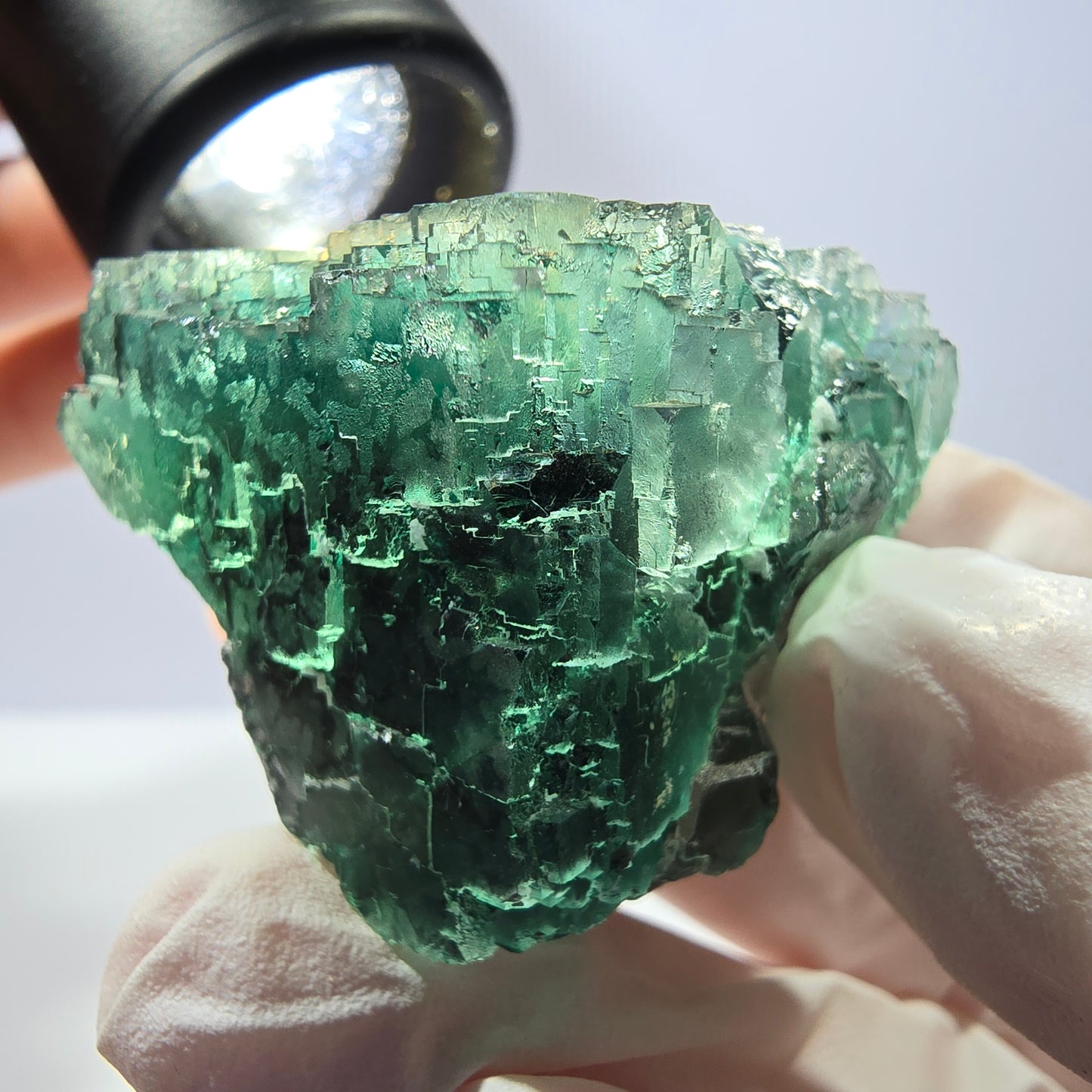 Spécimen de cube de fluorite fantôme transparente, vert parqueté, Okorusu, Namibie, 41 x 39 x 30 mm