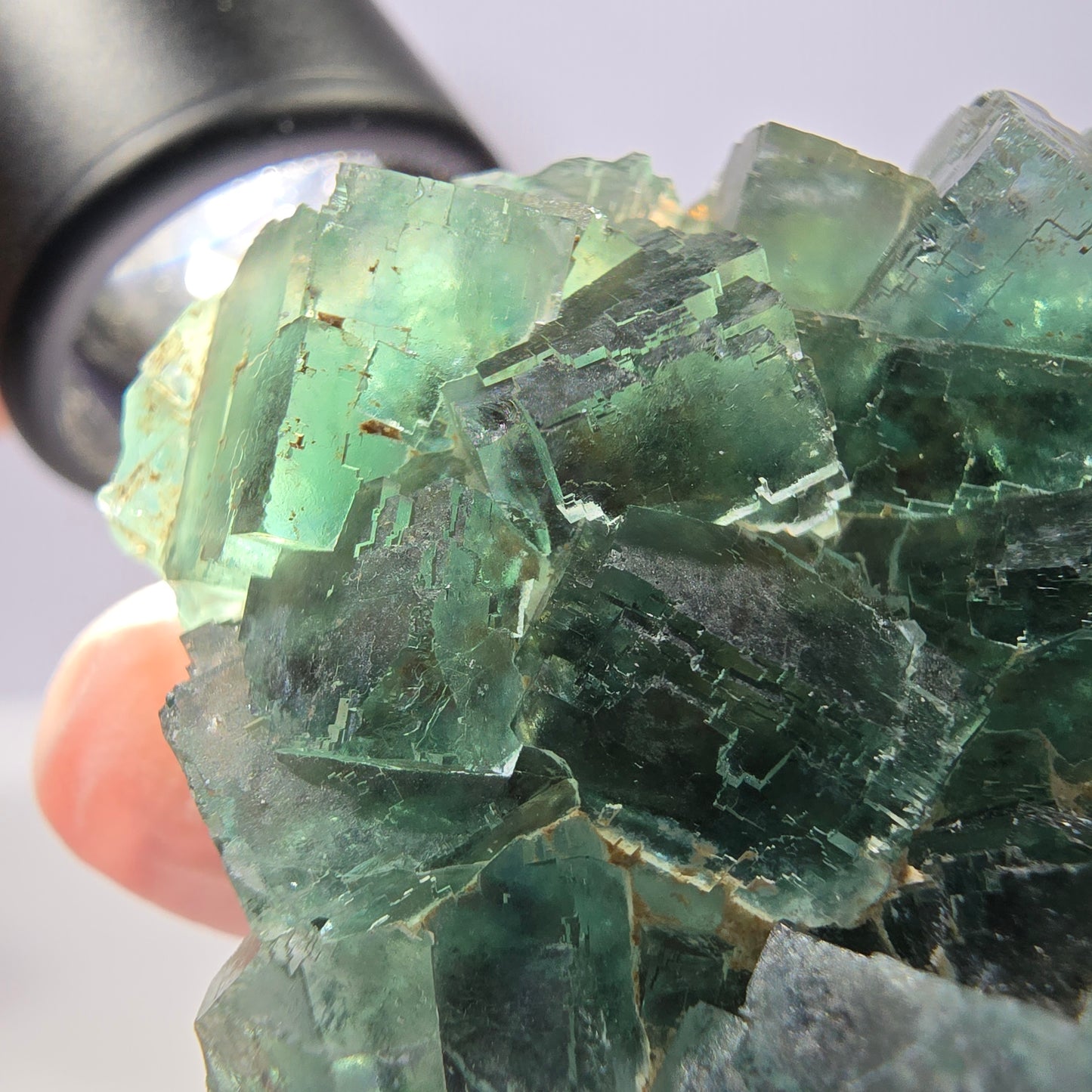 Spécimen de cube de fluorite fantôme transparente, vert parqueté, Okorusu, Namibie, 57 x 44 x 19 mm