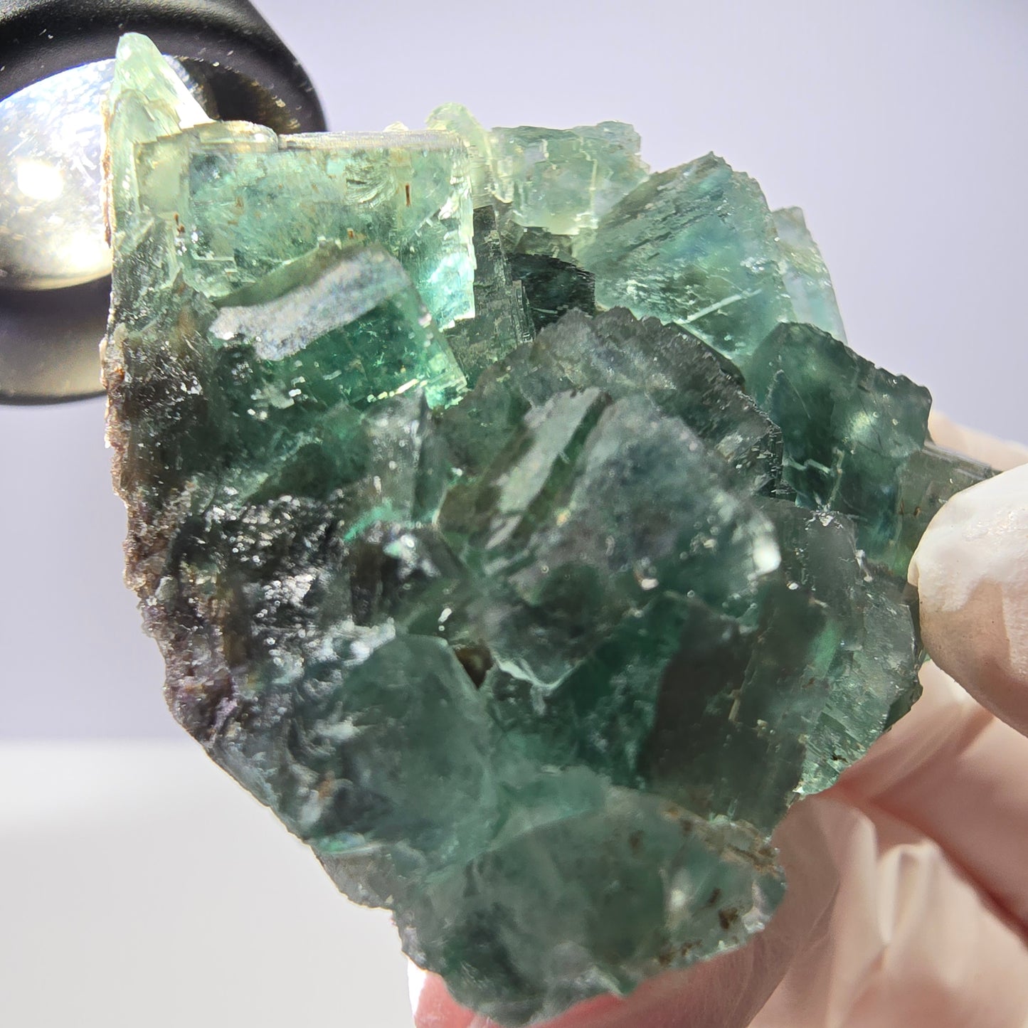 Spécimen de cube de fluorite fantôme transparente, vert parqueté, Okorusu, Namibie, 57 x 44 x 19 mm