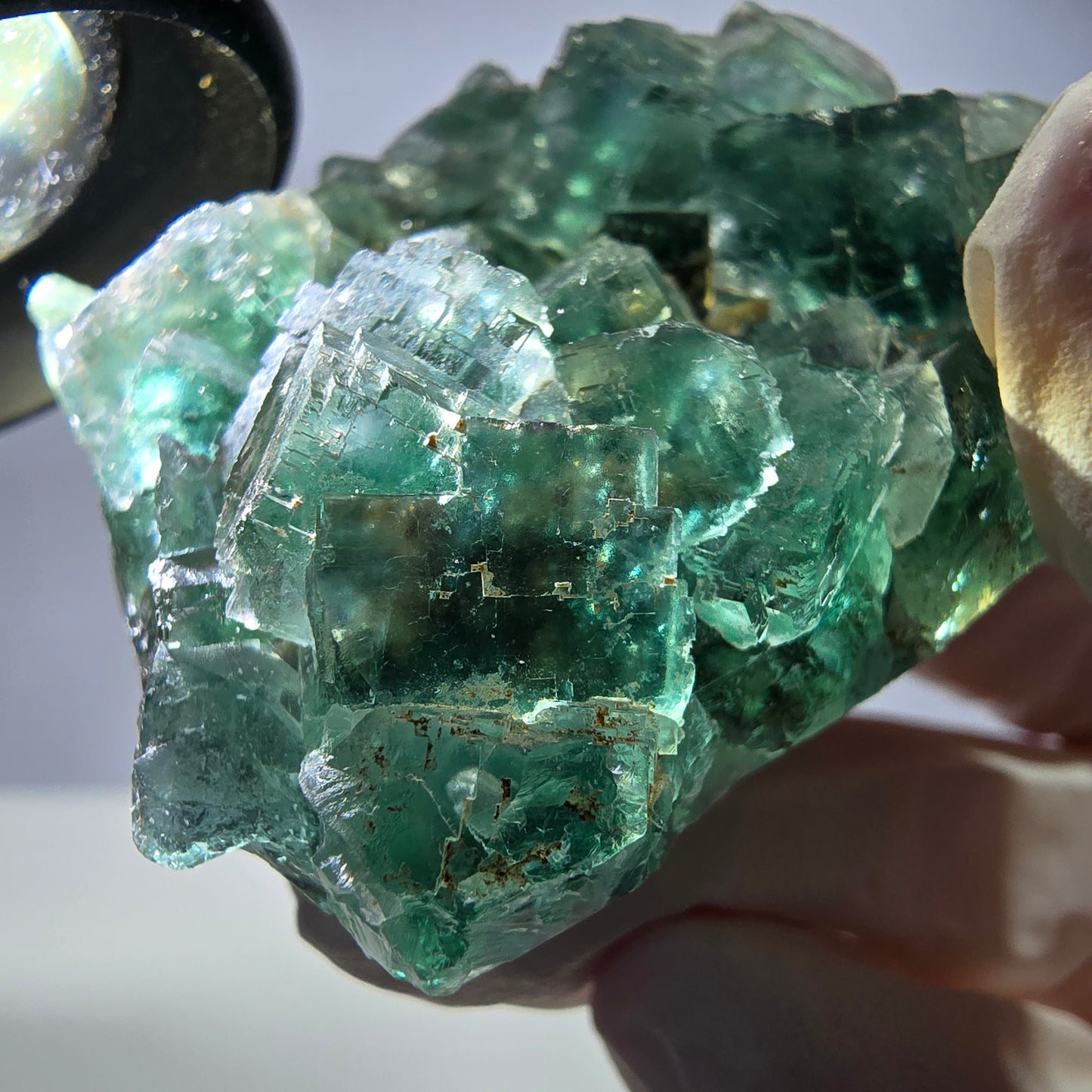 Spécimen de cube de fluorite fantôme transparente, vert parqueté, Okorusu, Namibie, 57 x 44 x 19 mm