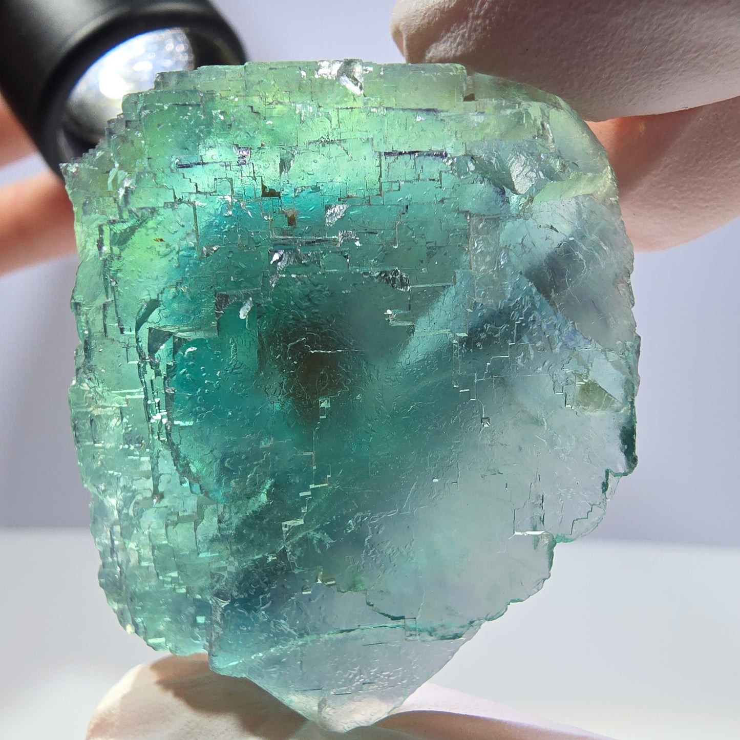 Spécimen de cube de fluorite fantôme transparente, vert parqueté, Okorusu, Namibie, 47 x 40 x 22 mm