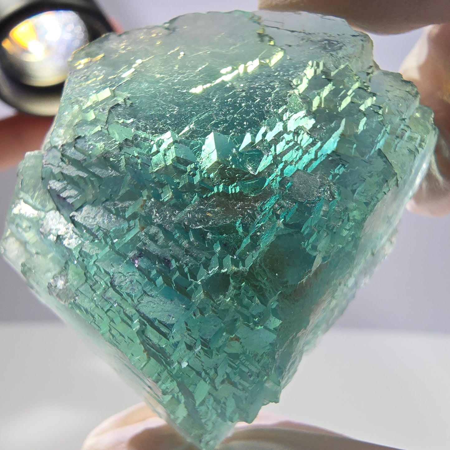 Spécimen de cube de fluorite fantôme transparente, vert parqueté, Okorusu, Namibie, 47 x 40 x 22 mm
