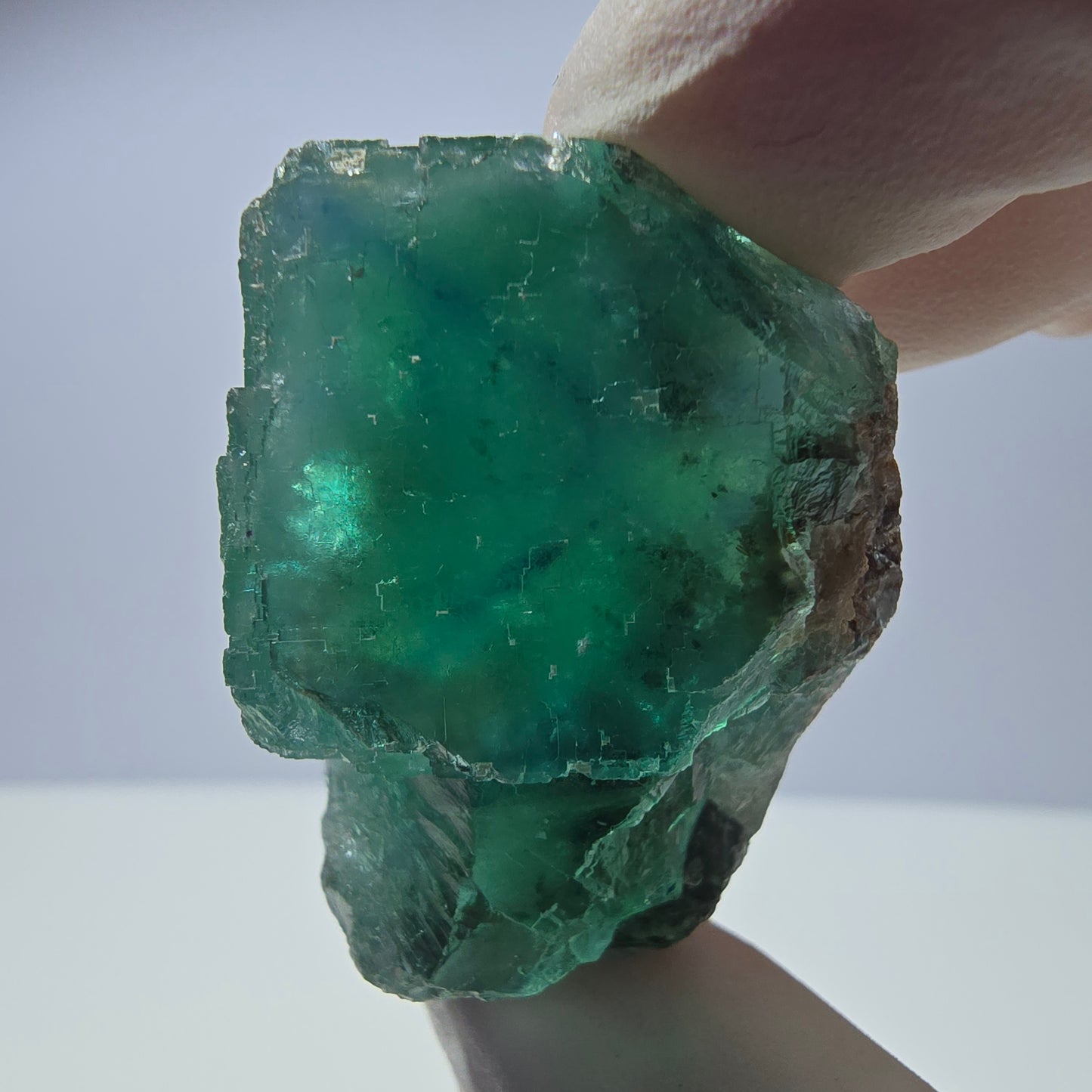 Spécimen de cube de fluorite fantôme transparente, vert parqueté, Okorusu, Namibie, 40 x 35 x 24 mm