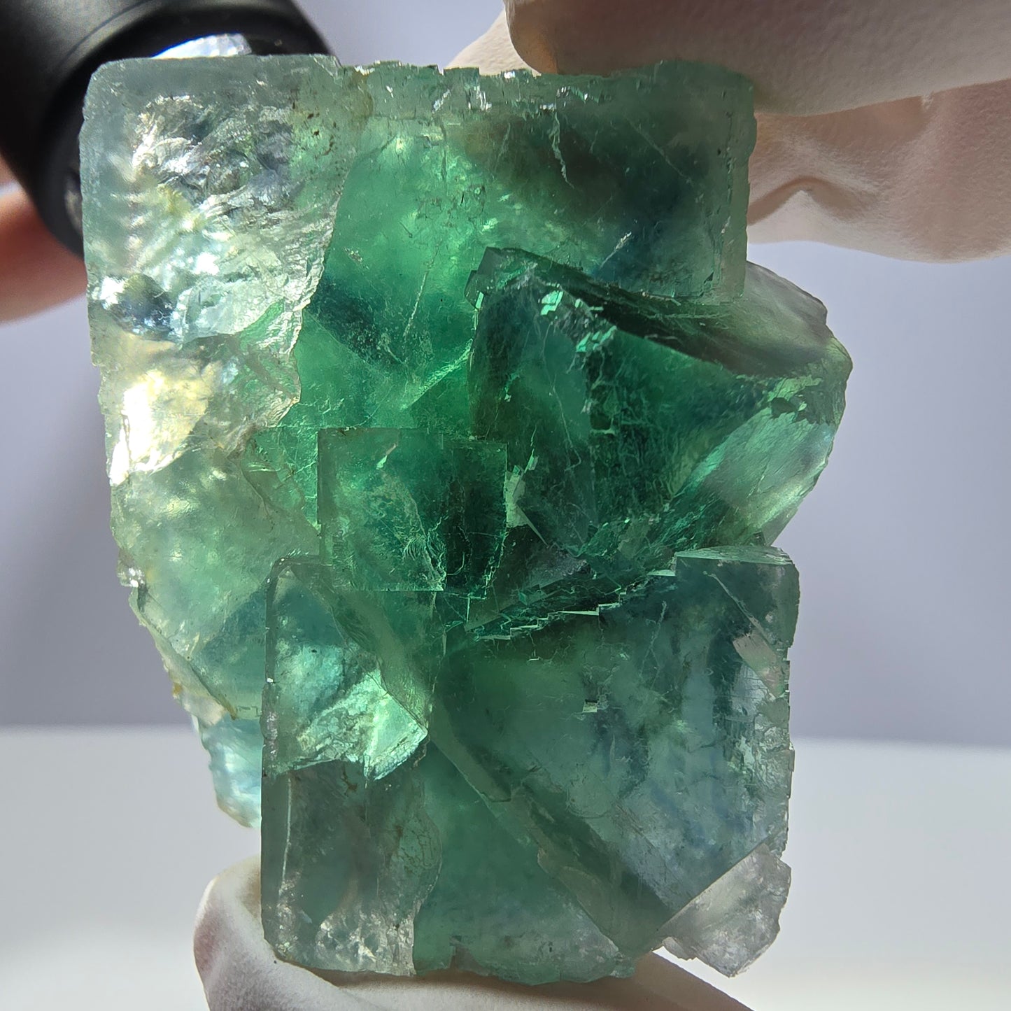 Spécimen de cube de fluorite fantôme transparente, vert parqueté, Okorusu, Namibie, 43 x 37 x 21 mm