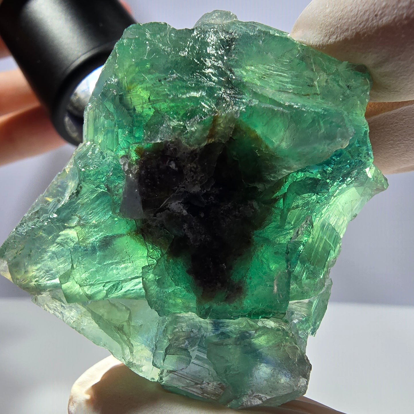 Spécimen de cube de fluorite fantôme transparente, vert parqueté, Okorusu, Namibie, 43 x 37 x 21 mm