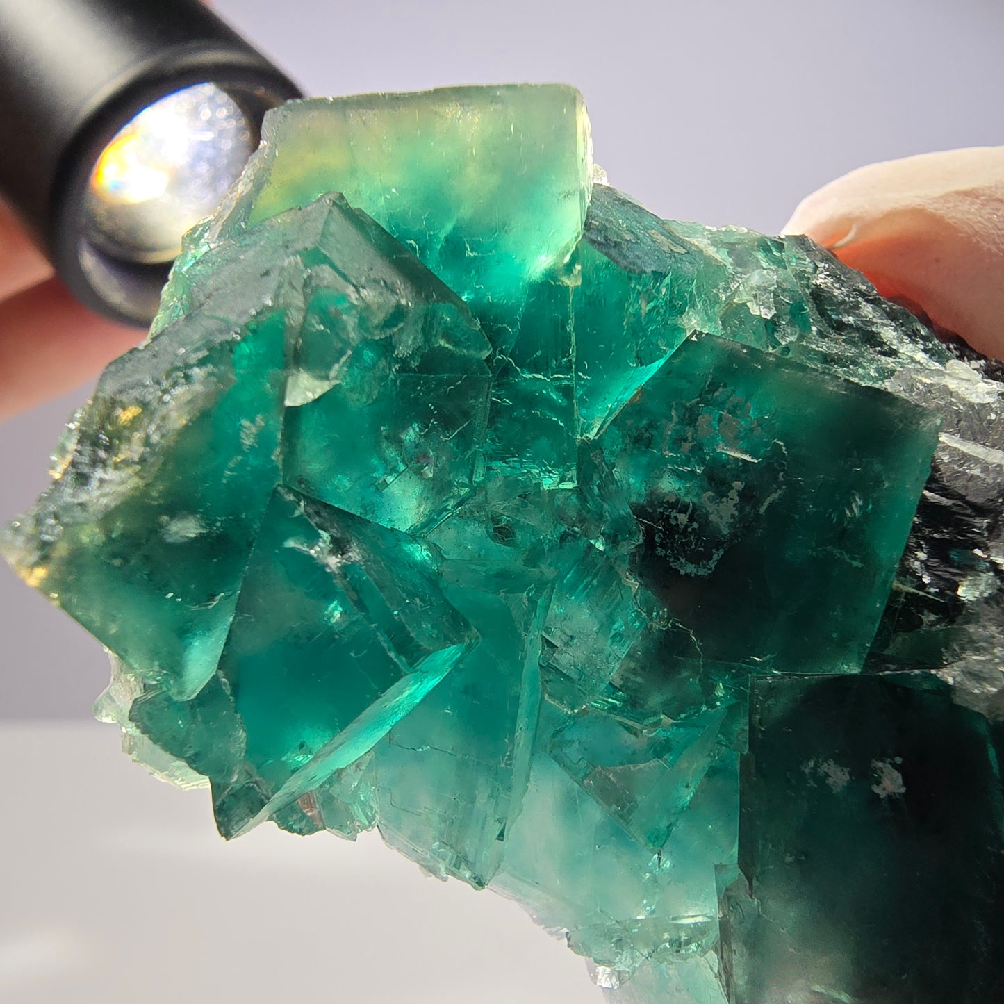 Spécimen de cube de fluorite fantôme transparente, vert parqueté, Okorusu, Namibie, 58 x 45 x 16 mm