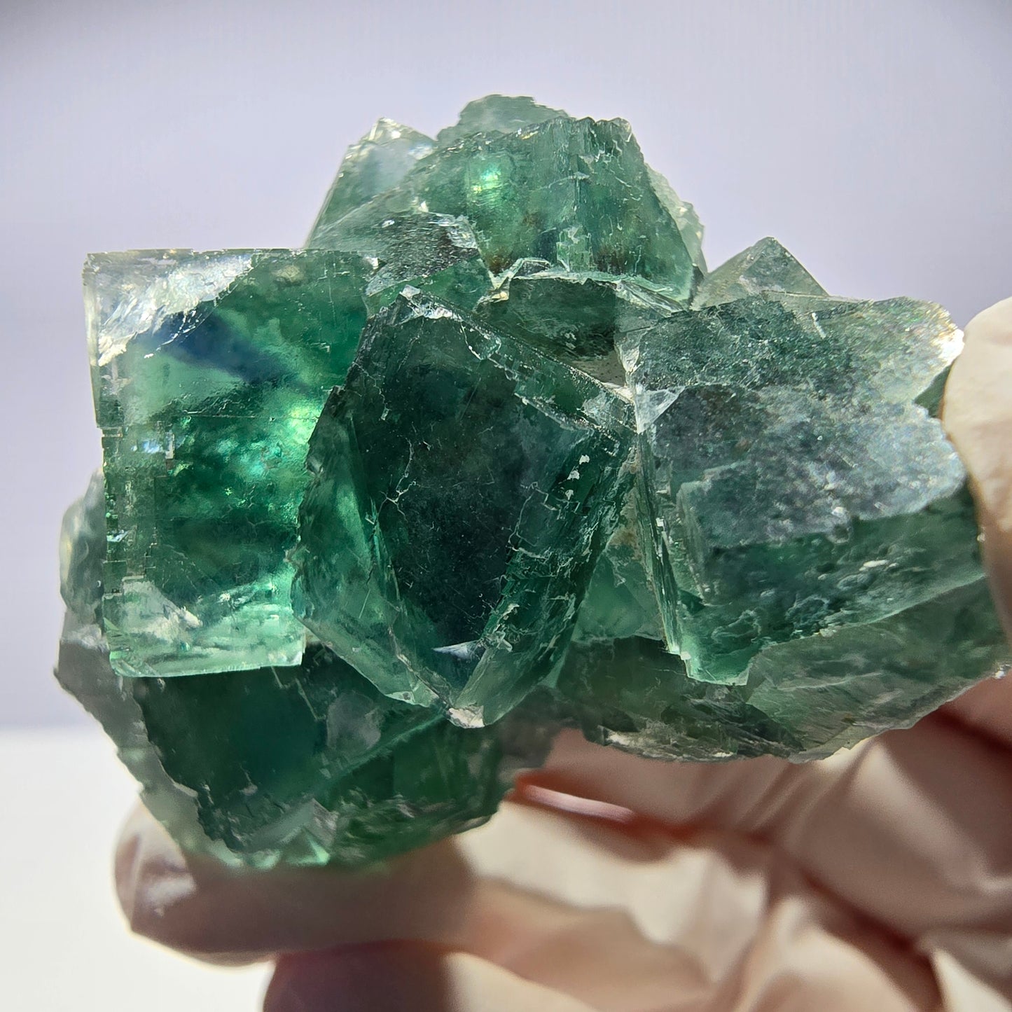 Spécimen de cube de fluorite fantôme transparente, vert parqueté, Okorusu, Namibie, 46 x 31 x 30 mm