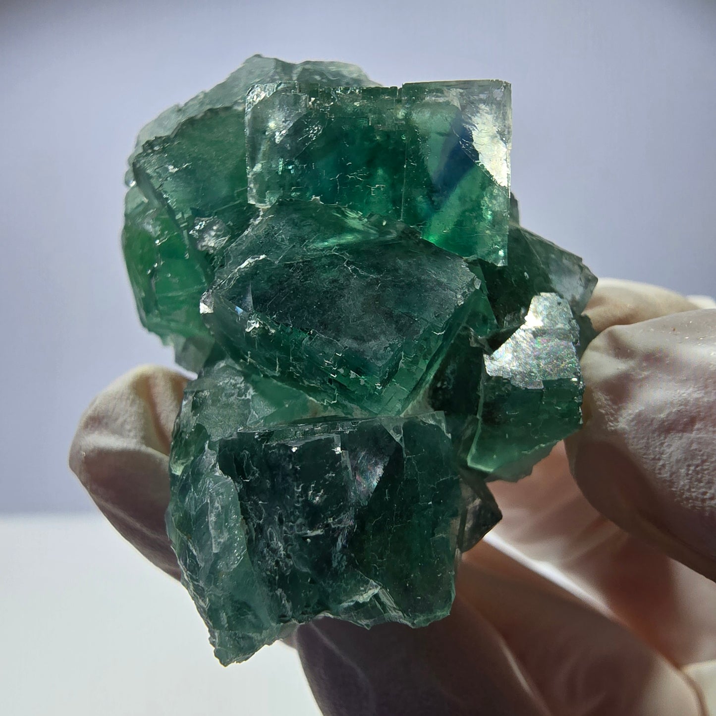 Spécimen de cube de fluorite fantôme transparente, vert parqueté, Okorusu, Namibie, 46 x 31 x 30 mm