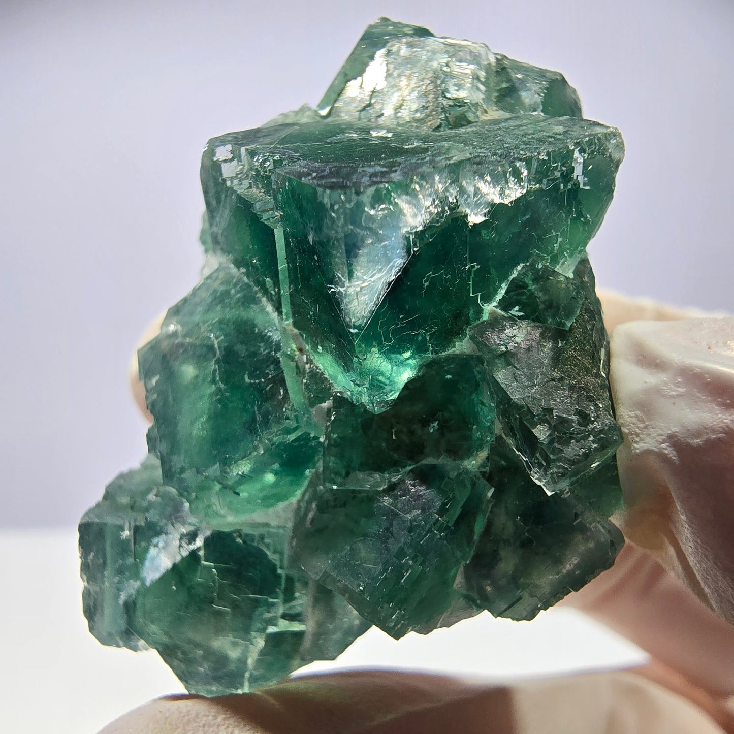 Spécimen de cube de fluorite fantôme transparente, vert parqueté, Okorusu, Namibie, 46 x 31 x 30 mm