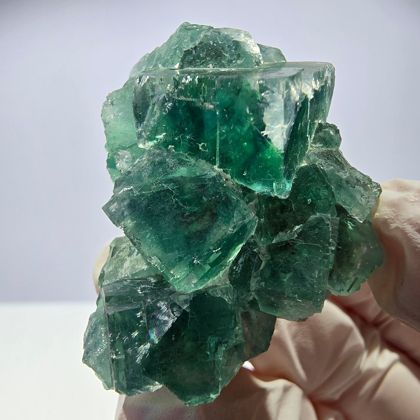Spécimen de cube de fluorite fantôme transparente, vert parqueté, Okorusu, Namibie, 46 x 31 x 30 mm