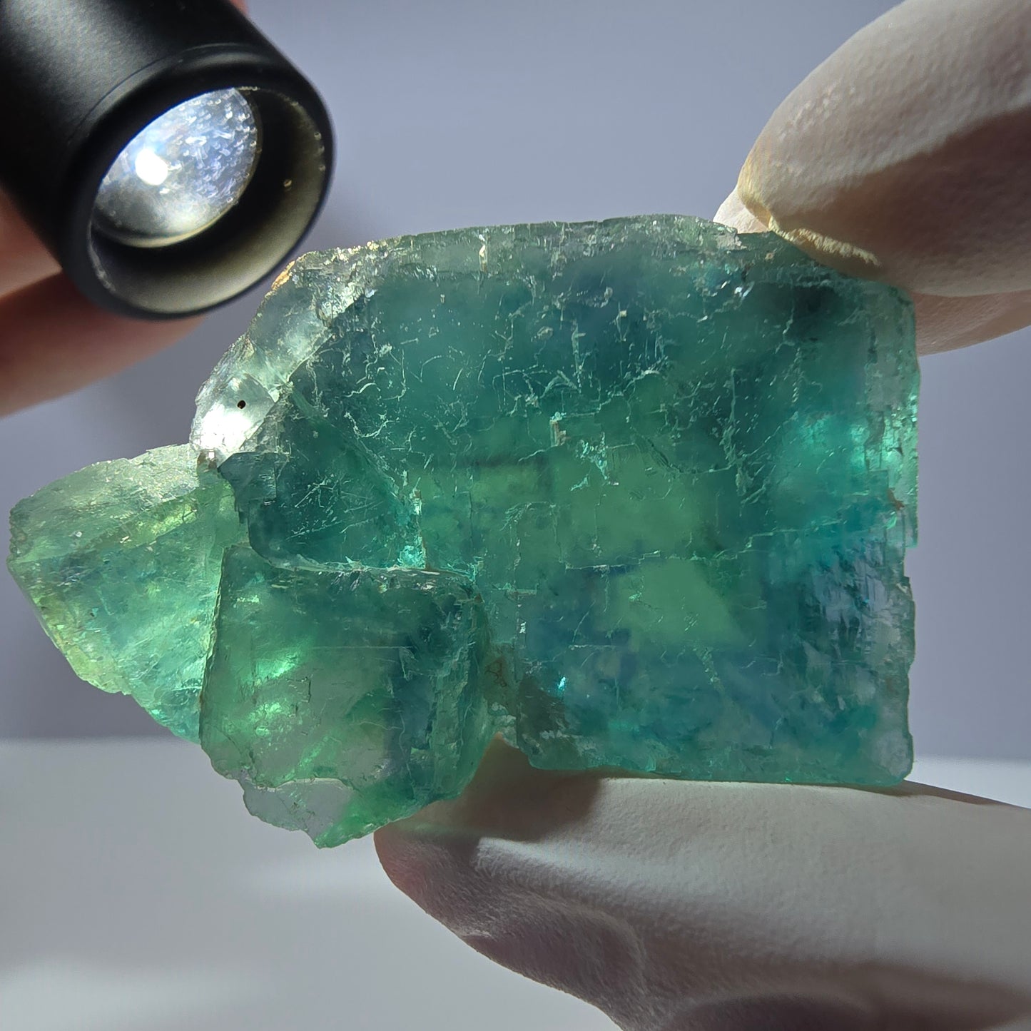Spécimen de cube de fluorite fantôme transparente, vert parqueté, Okorusu, Namibie, 53 x 33 x 22 mm