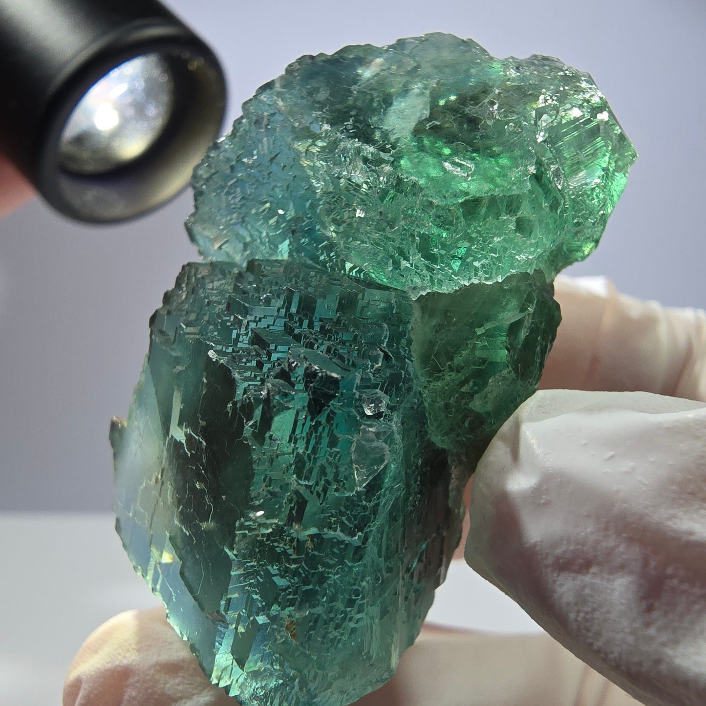 Spécimen de cube de fluorite fantôme transparente, parqueté vert Okorusu, Namibie 49 x 31 x 31 mm