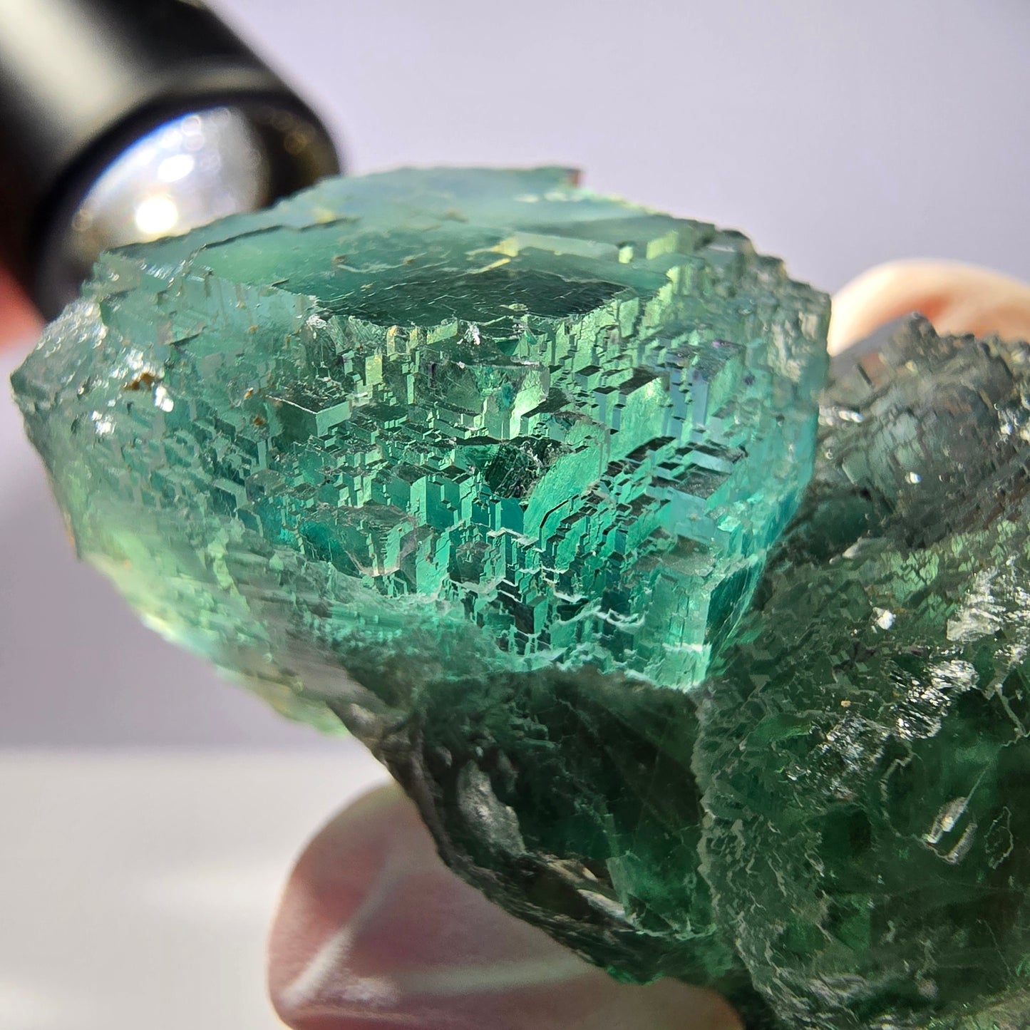 Spécimen de cube de fluorite fantôme transparente, parqueté vert Okorusu, Namibie 49 x 31 x 31 mm