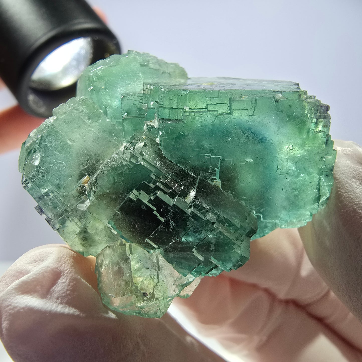 Spécimen de cube de fluorite fantôme transparente, vert parqueté, Okorusu, Namibie, 43 x 37 x 24 mm