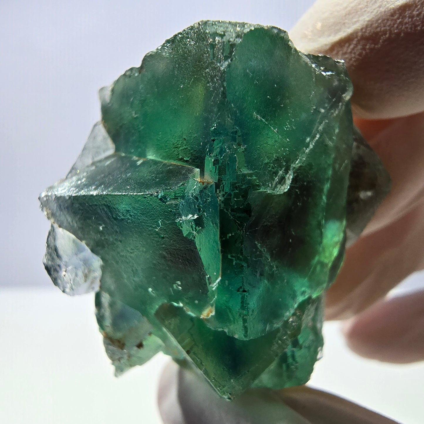Spécimen de cube de fluorite fantôme transparente, vert parqueté, Okorusu, Namibie, 48 x 29 x 25 mm