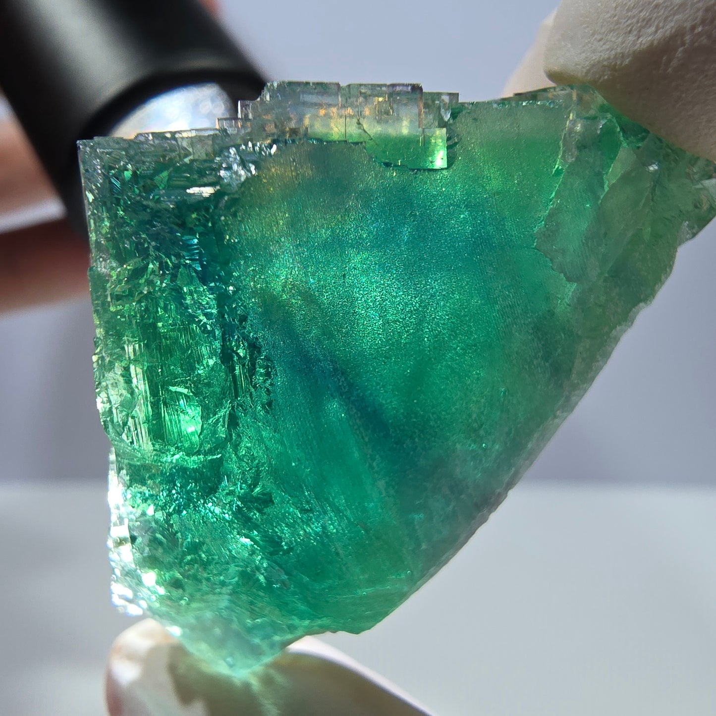 Spécimen de cube de fluorite fantôme transparente, vert parqueté, Okorusu, Namibie, 50 x 30 x 22 mm