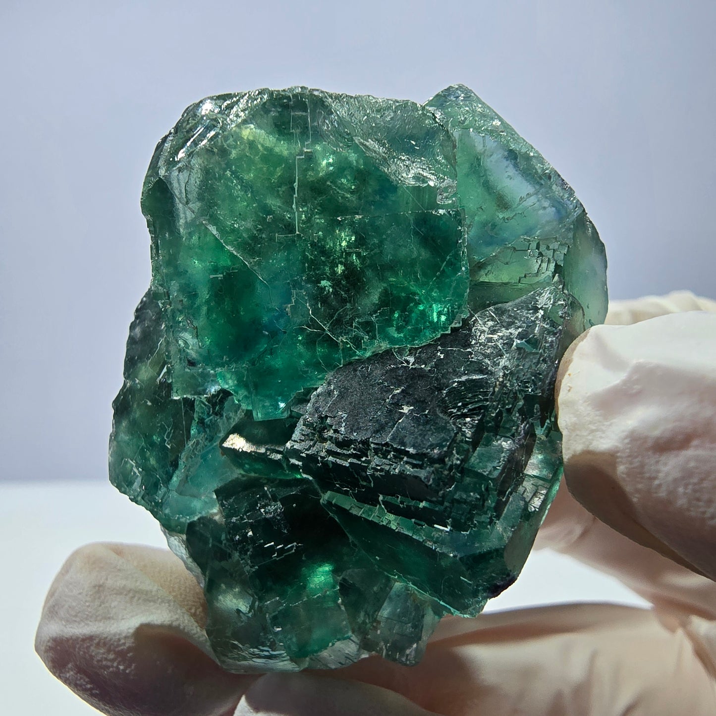 Spécimen de cube de fluorite fantôme transparente, vert parqueté, Okorusu, Namibie, 48 x 36 x 21 mm